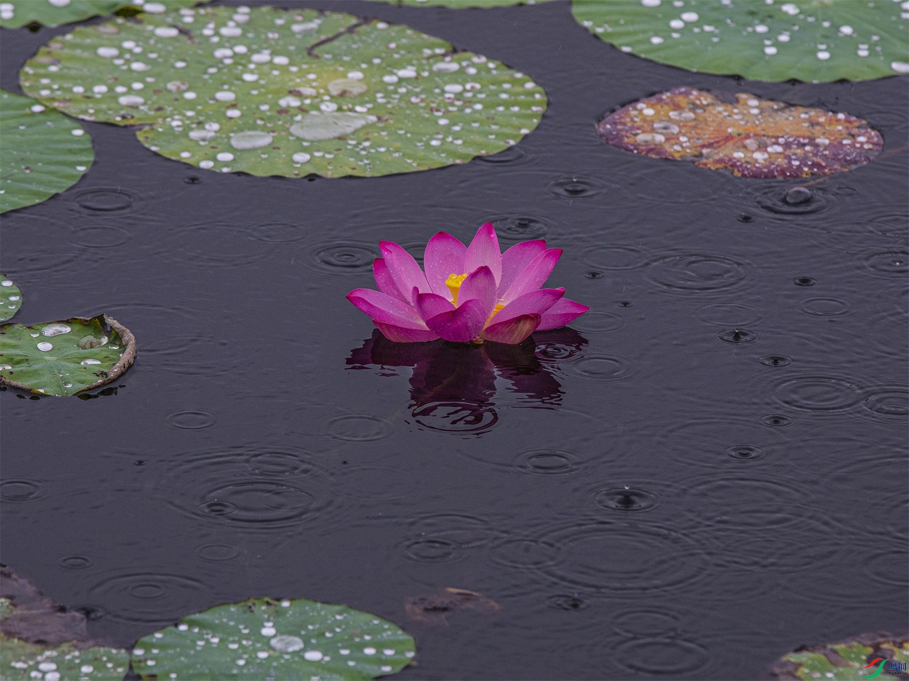CY4A8774 ����1.jpg