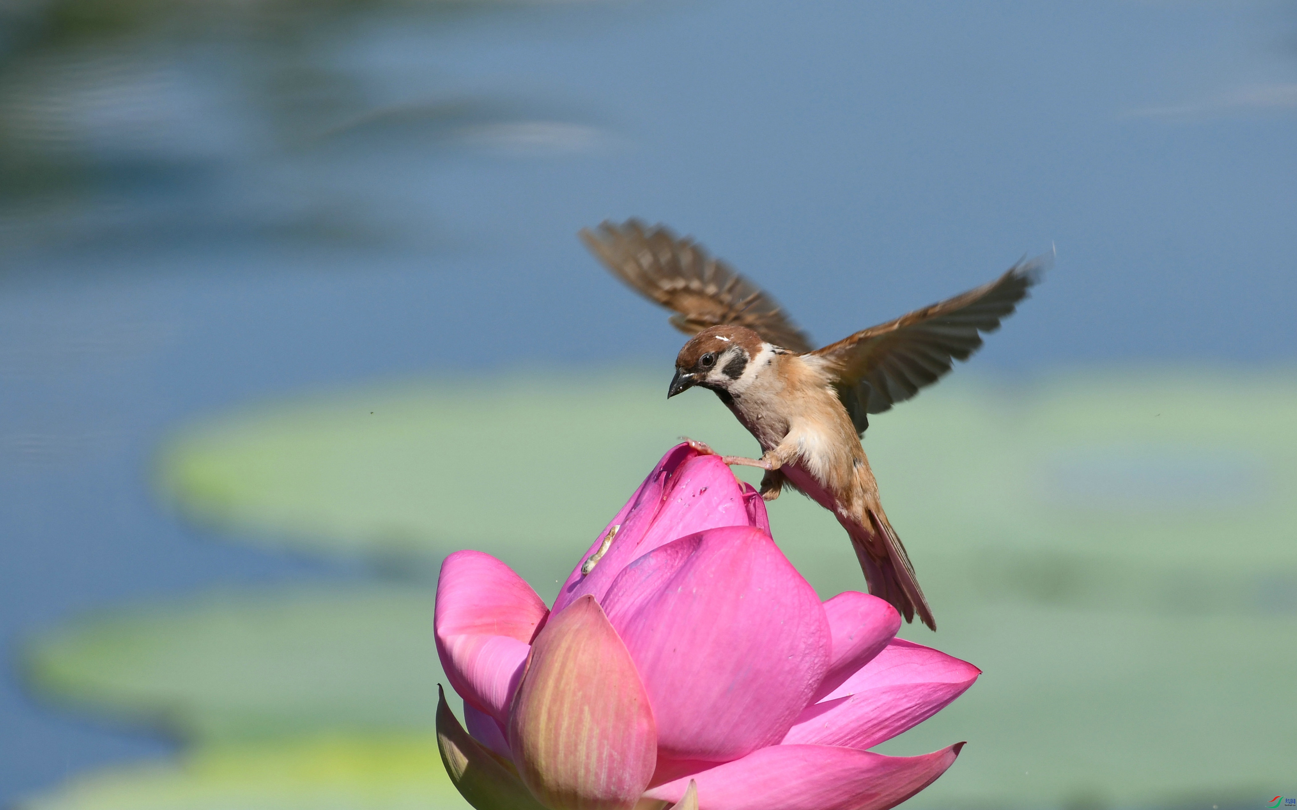 DSC_8244.JPG