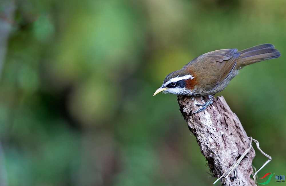 _GD_8654.jpg
