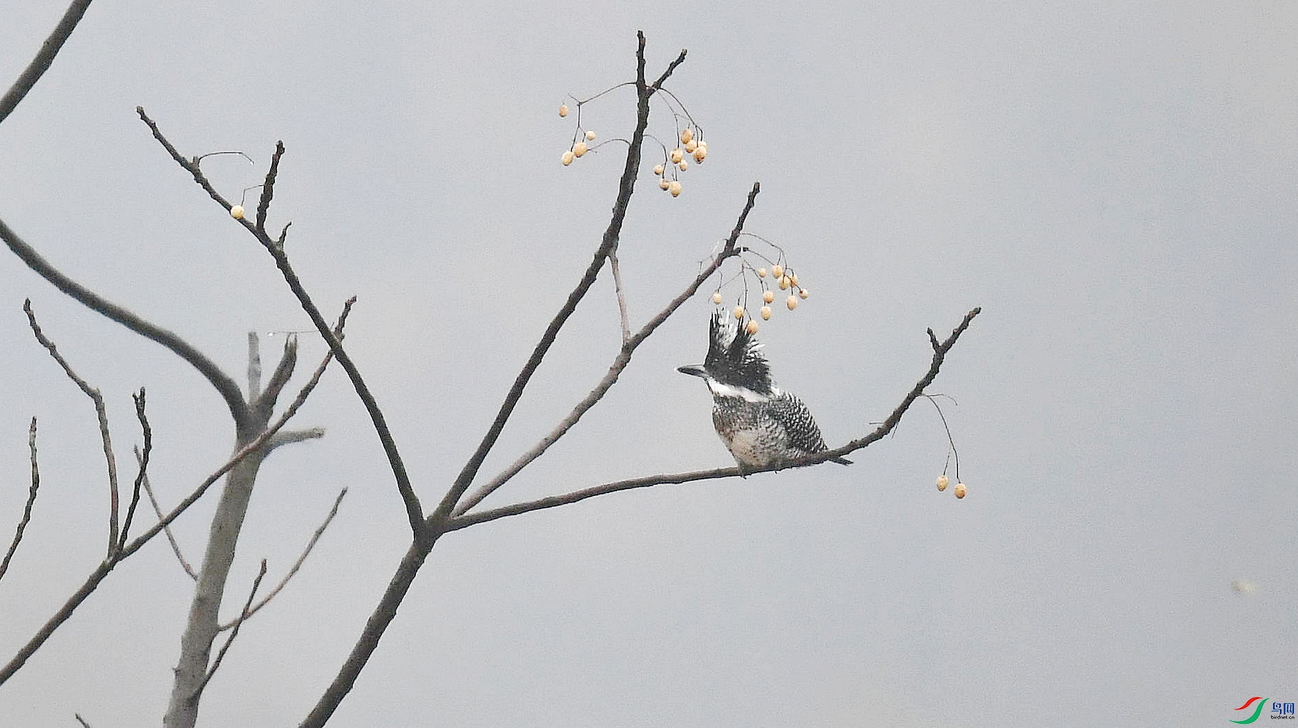 DSC_7484_����.jpg