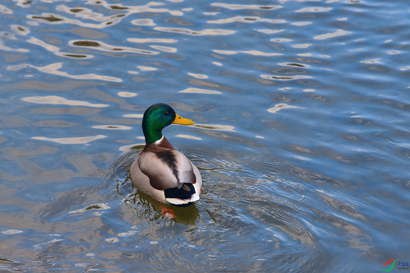 3DSC_2816_DxOa.jpg