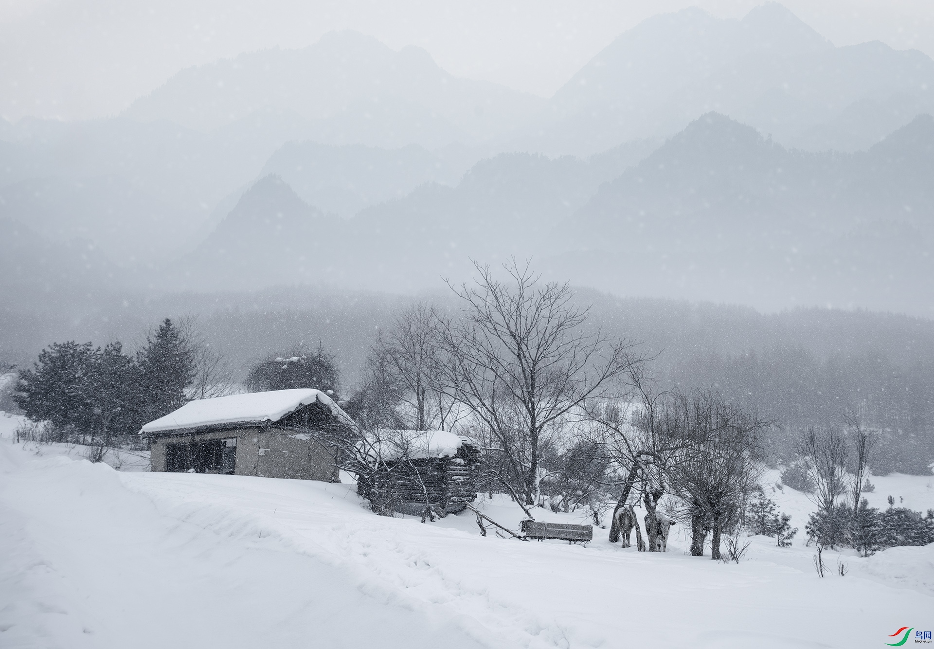 DSC_0032 ���� 2.jpg