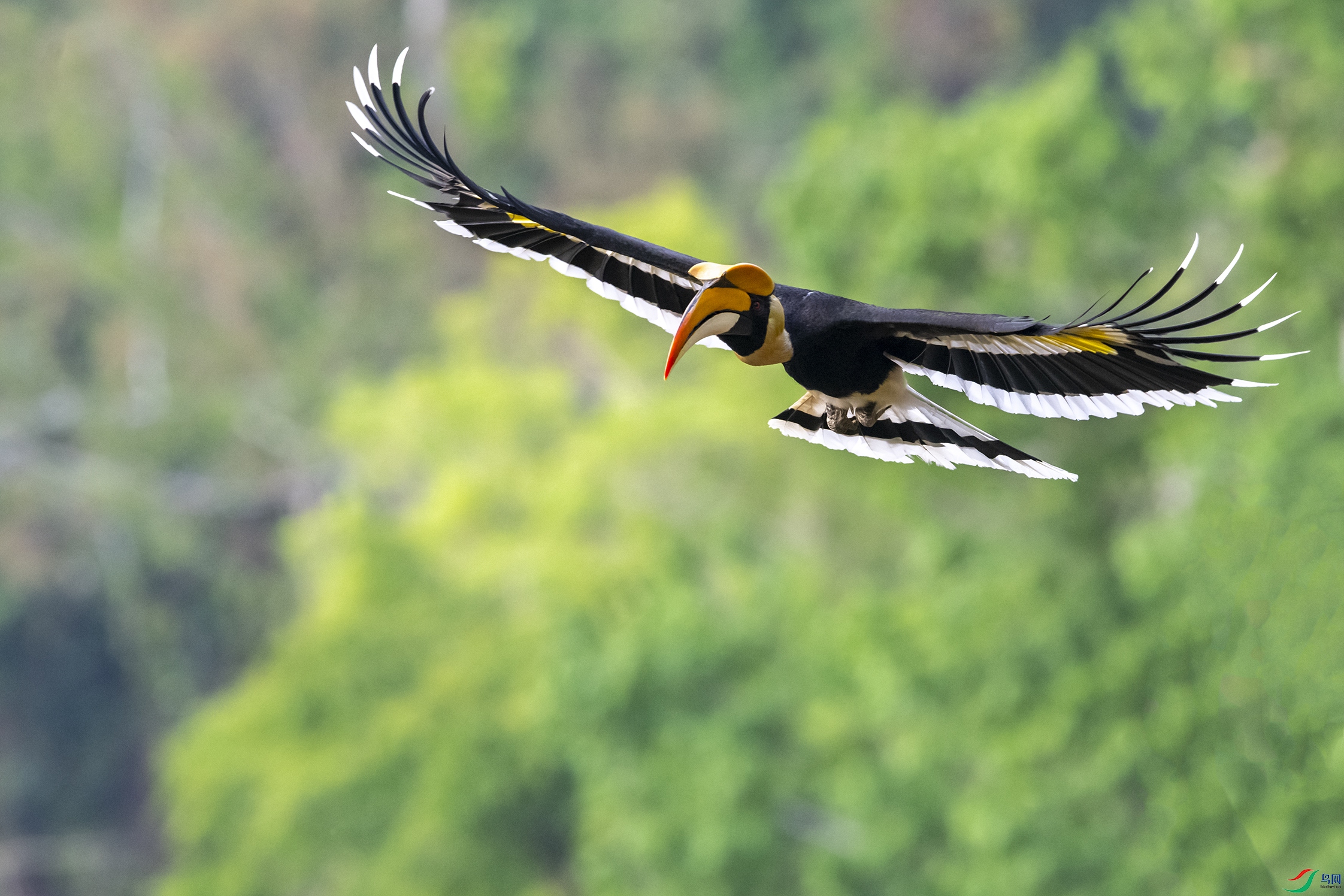 4782 ����.jpg