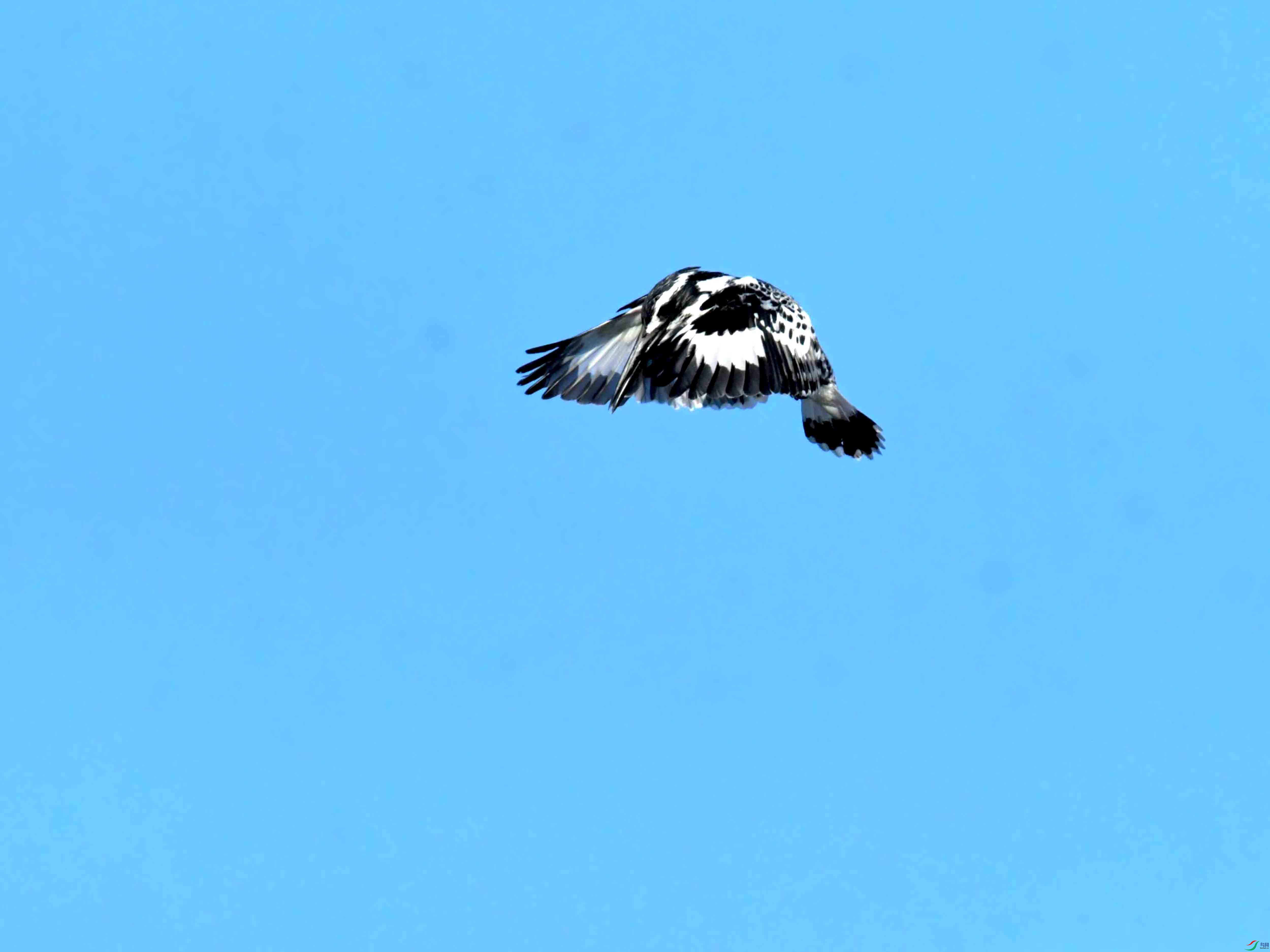 DSC_0899.JPG