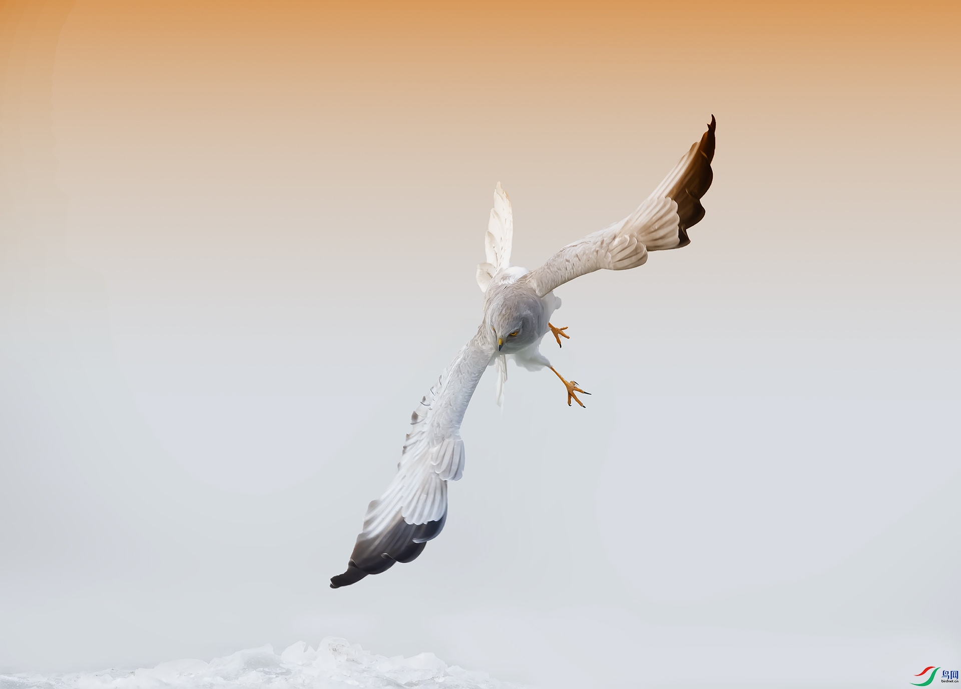 019A8522 ����.jpg