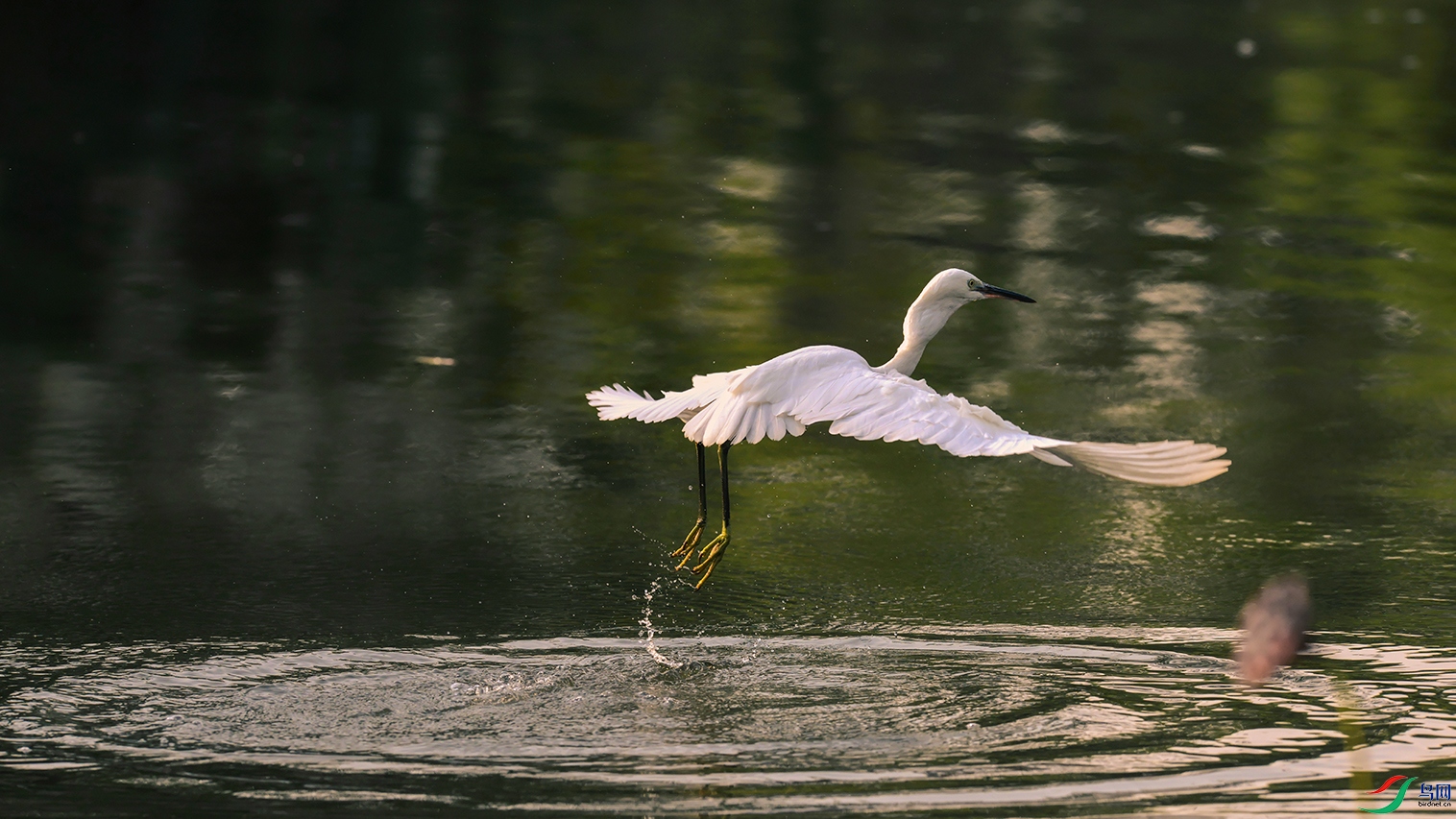 3DSC_1515_DxOa.jpg