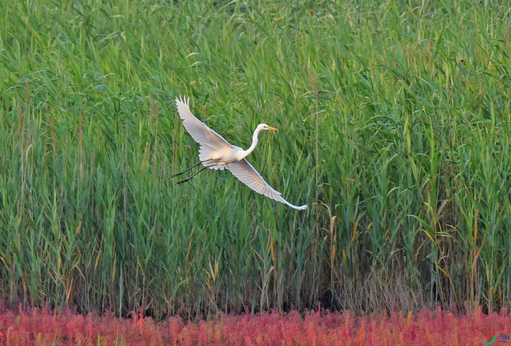 DSC_6922Ʈ��.jpg