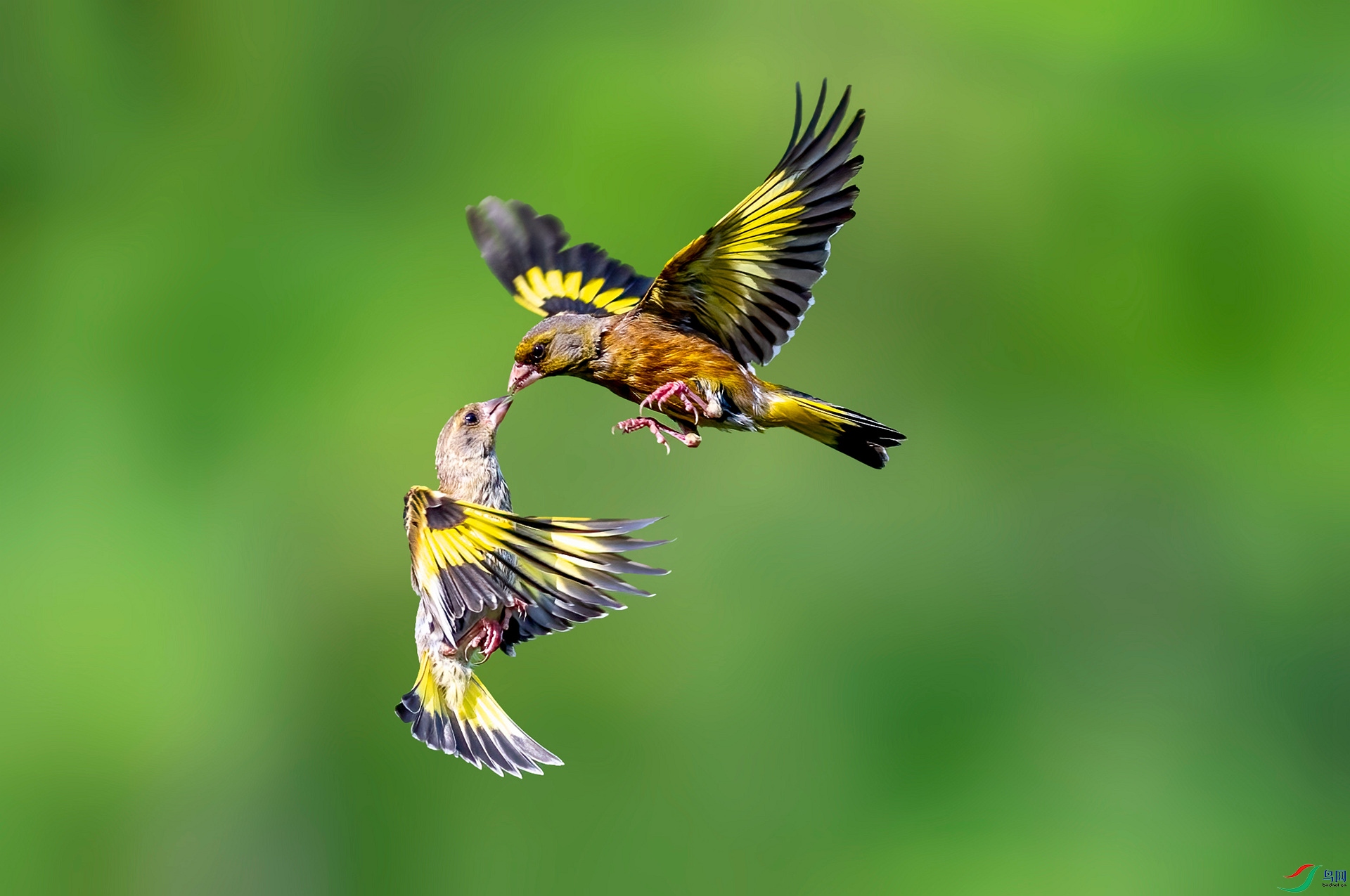 DSC_5784 ����_����.jpg