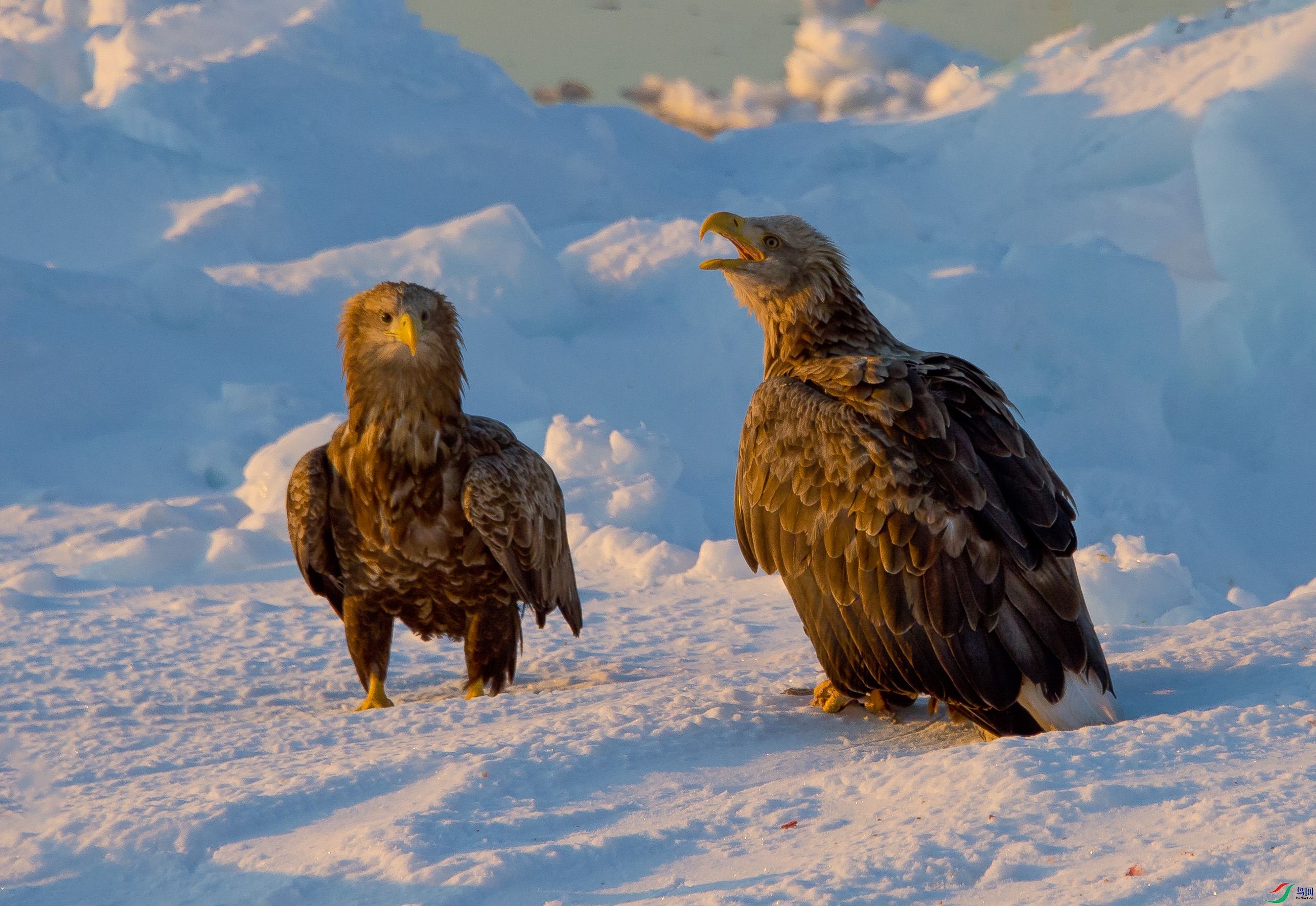 ��DSC_1901 ��ؐ.jpg