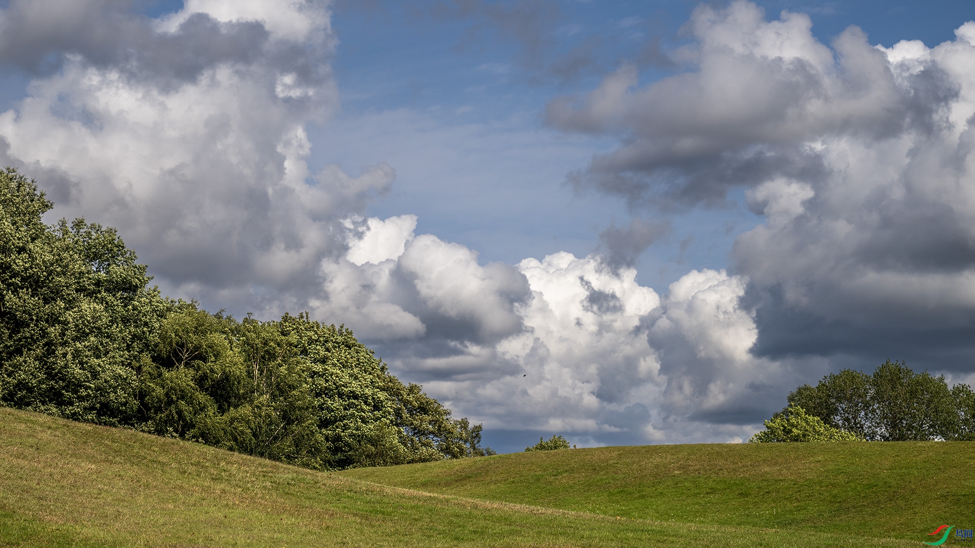 DSC_0733.jpg