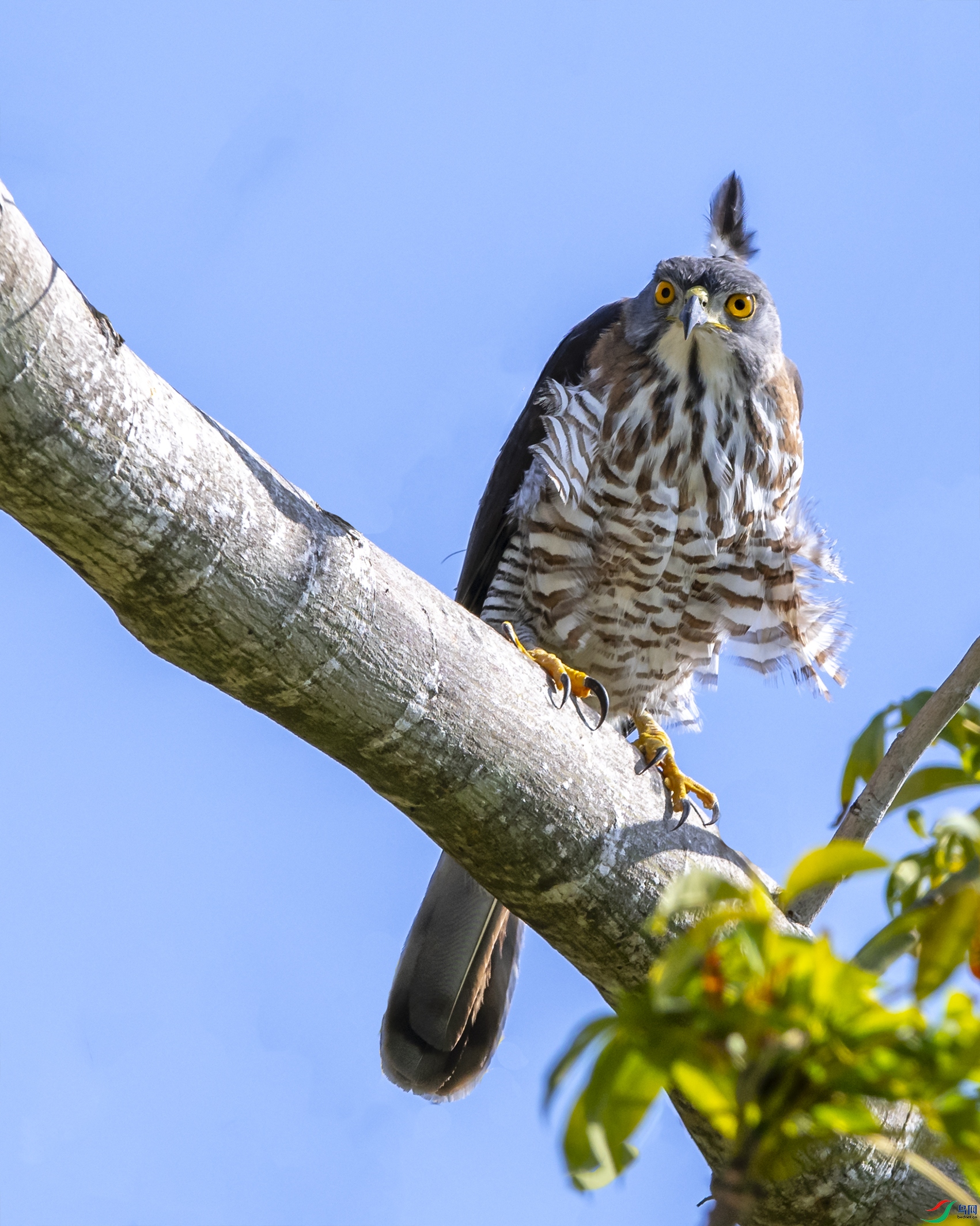 4751 ����.jpg