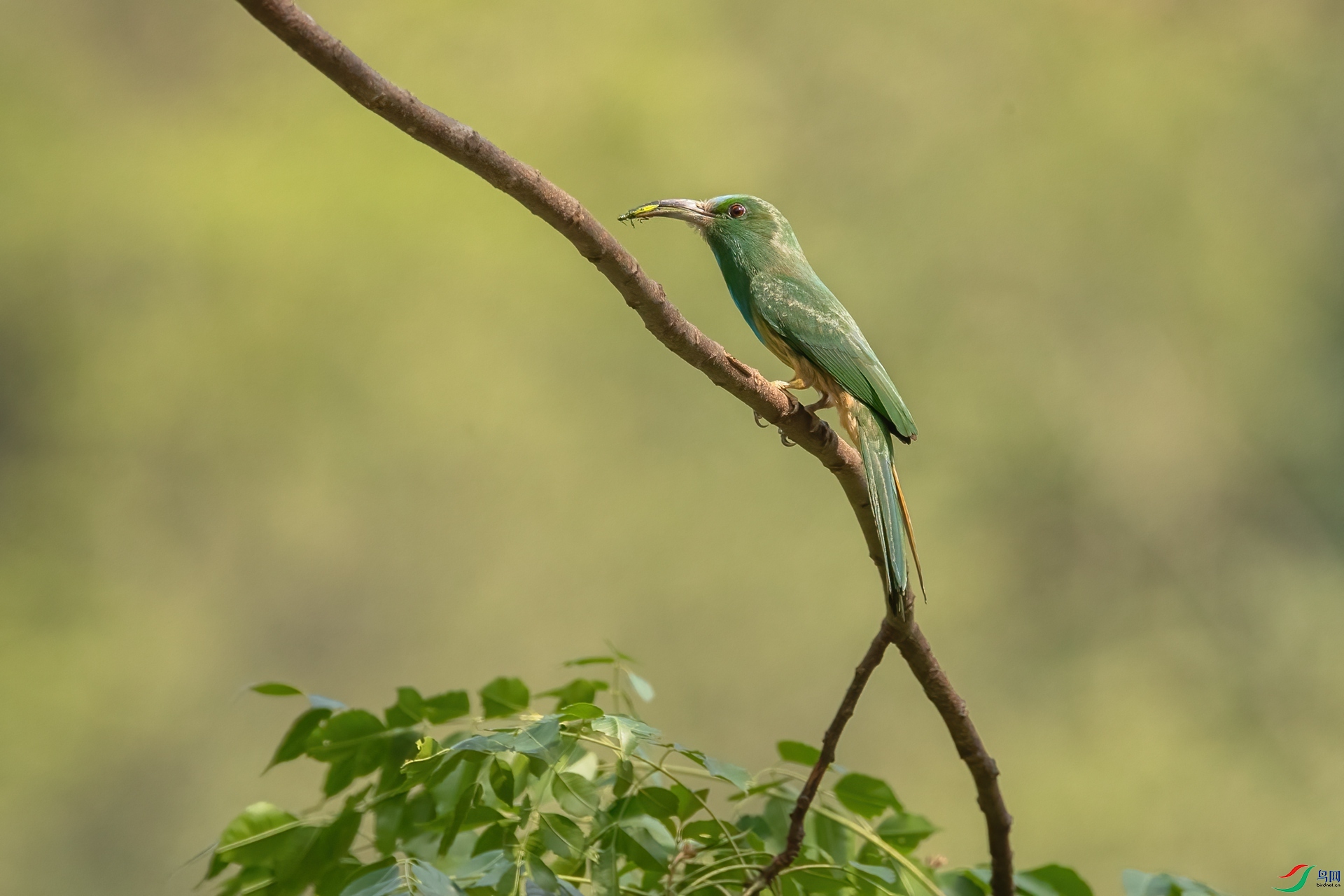 B86I6085 _����.jpg