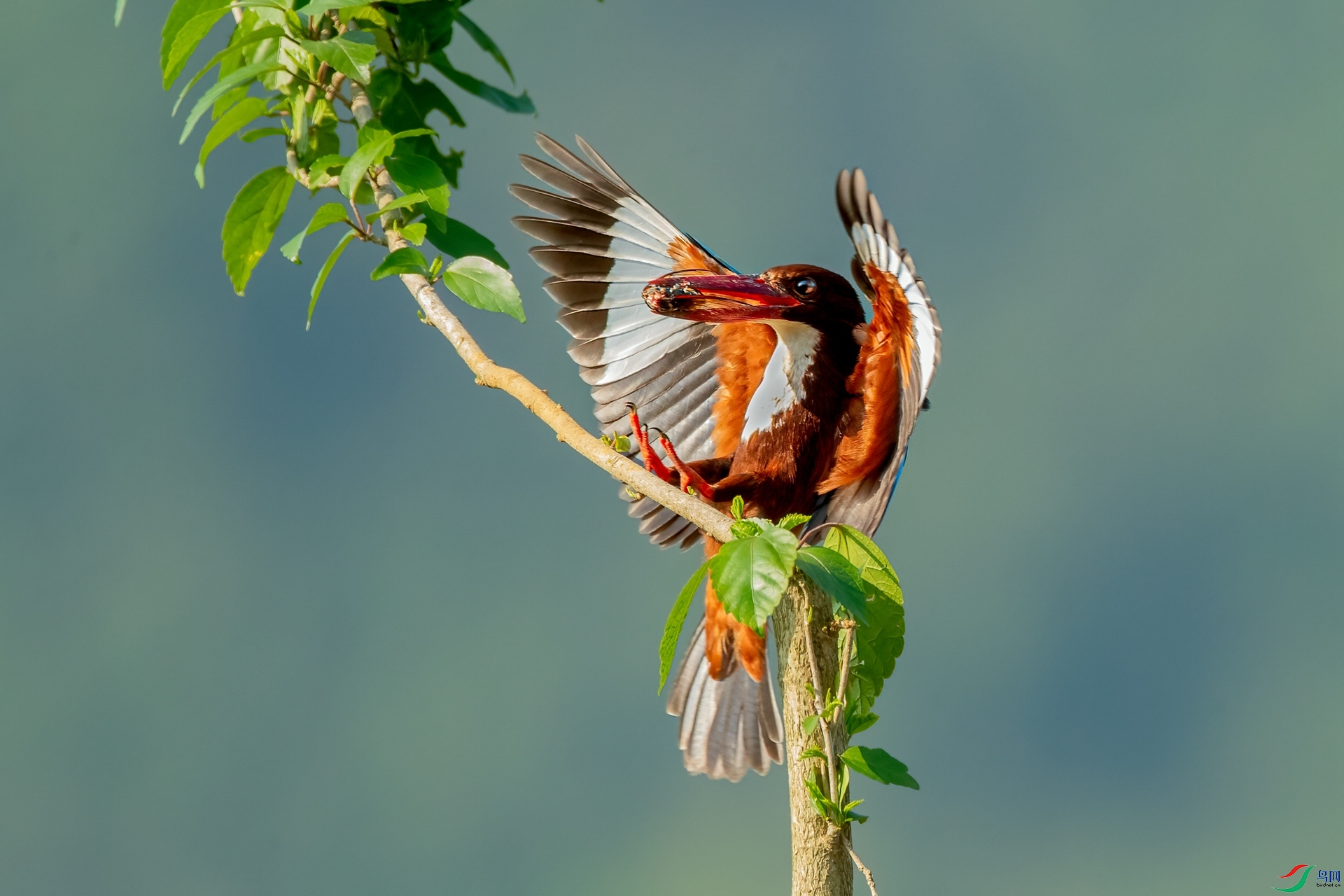 B86I5664 _����.jpg