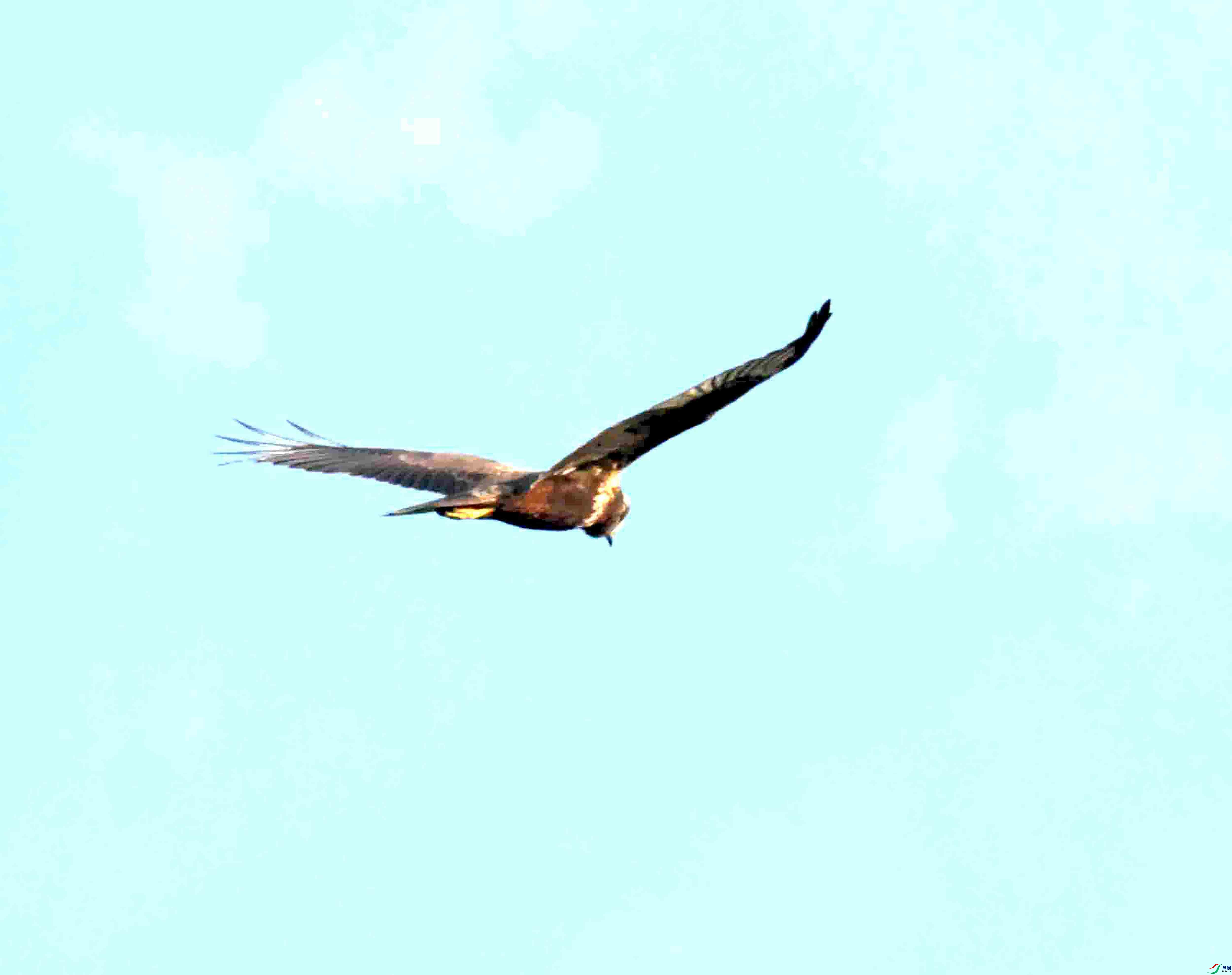 DSC_1177��ͷ��.JPG