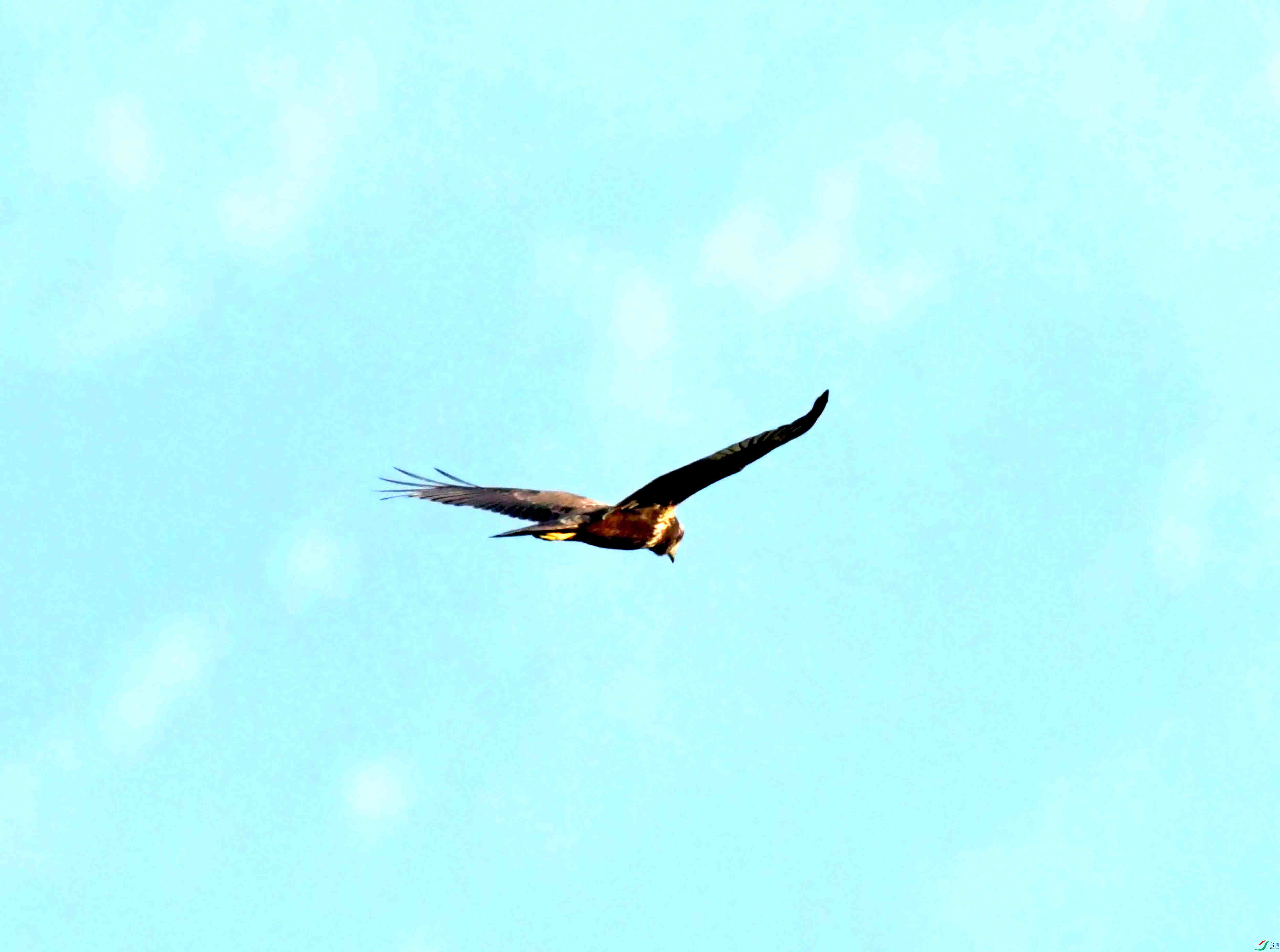 DSC_1176.JPG