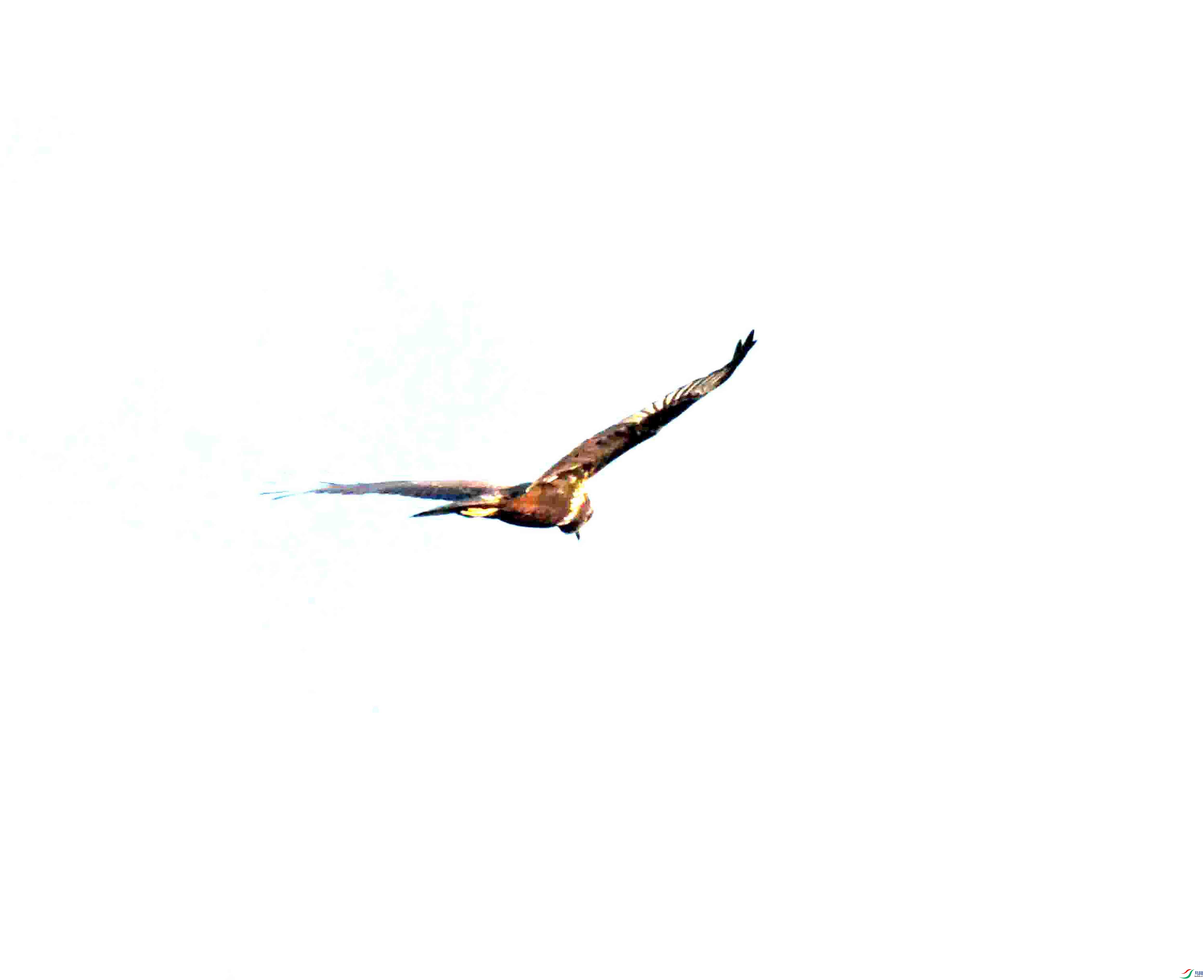 DSC_1178.JPG