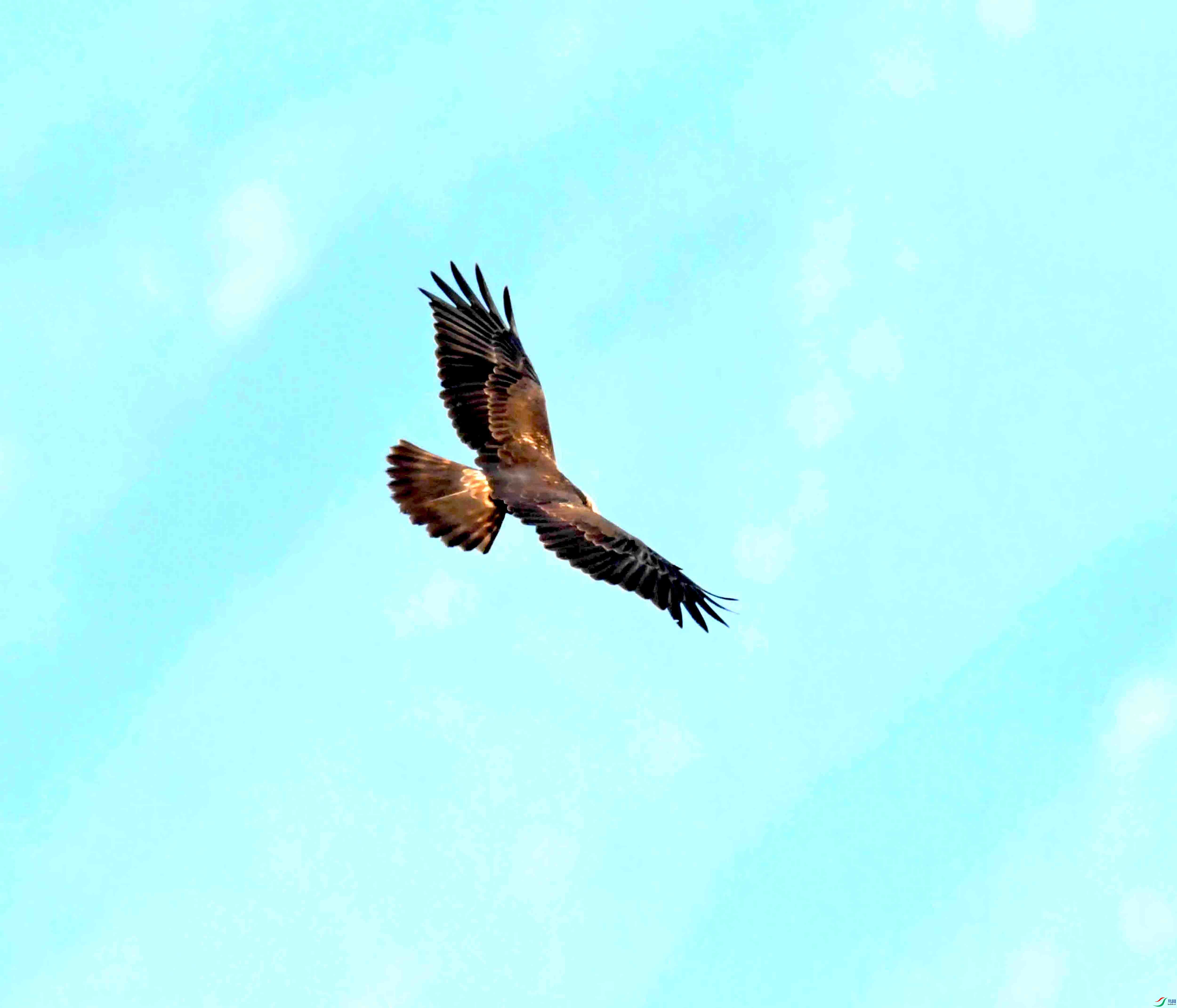 DSC_1206.JPG