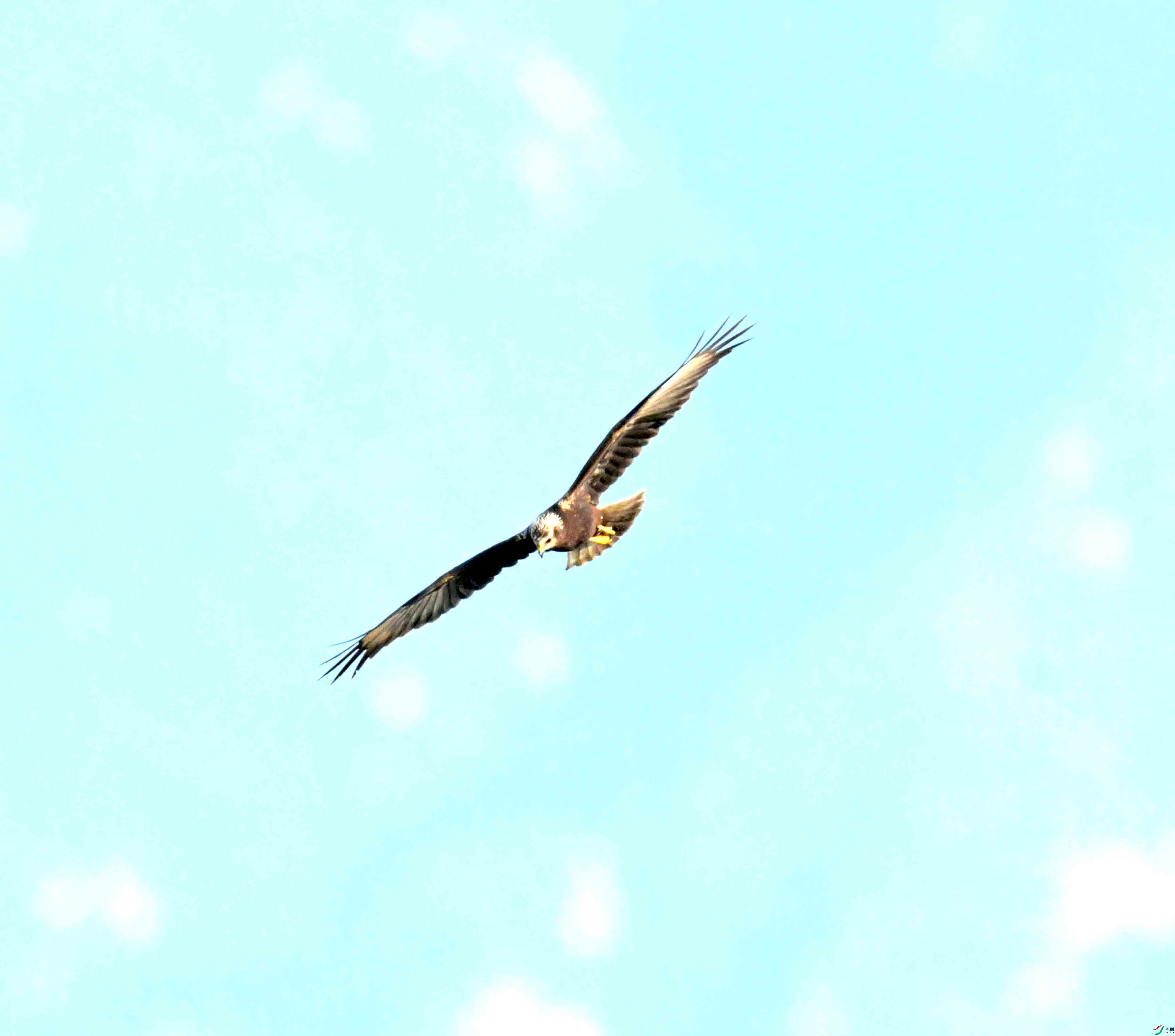 DSC_1210.JPG