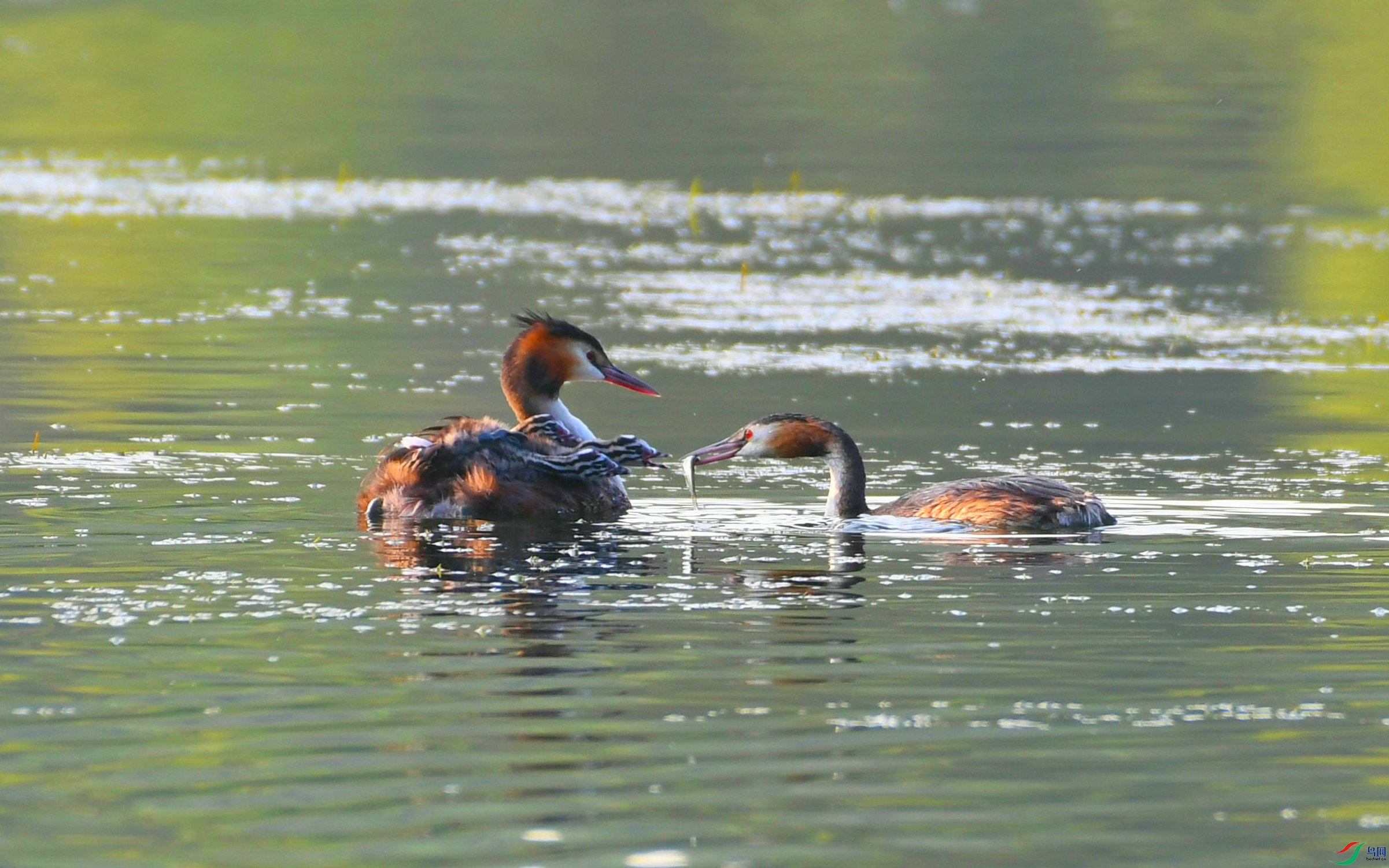 DSC_0014.JPG