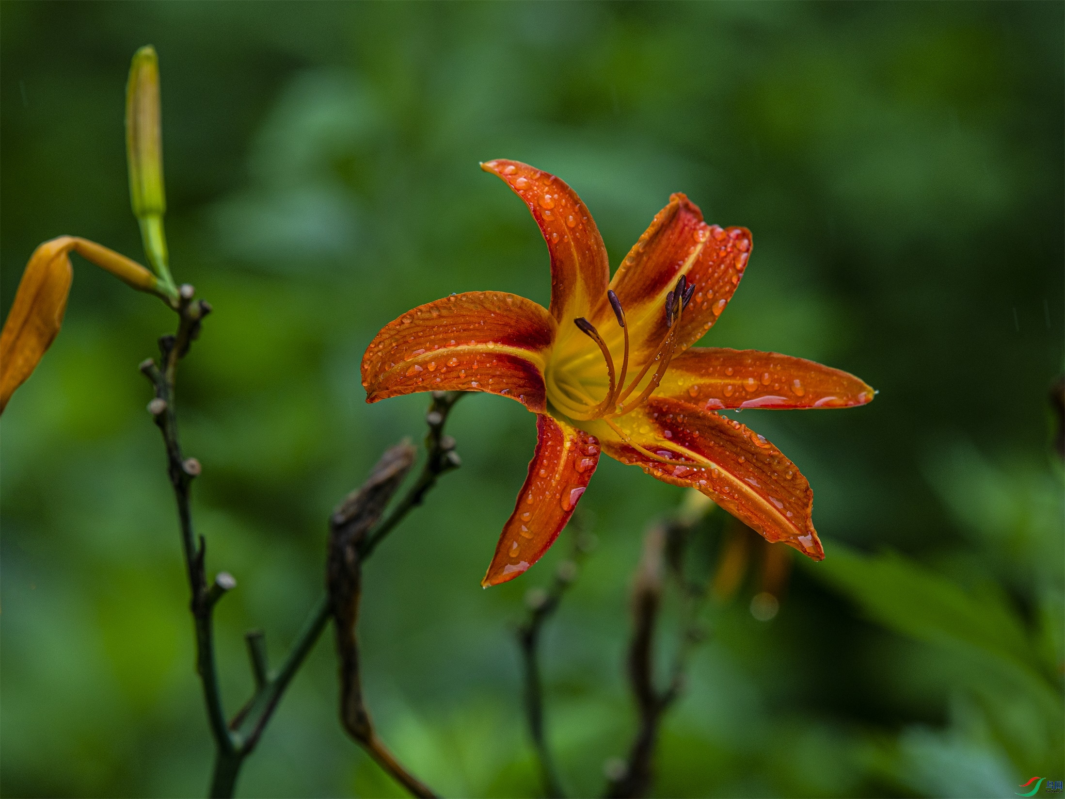 CY4A8848 ����1.jpg