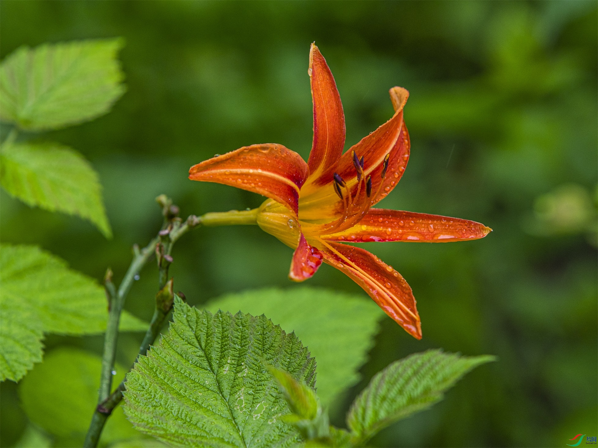 CY4A8853 ����1.jpg