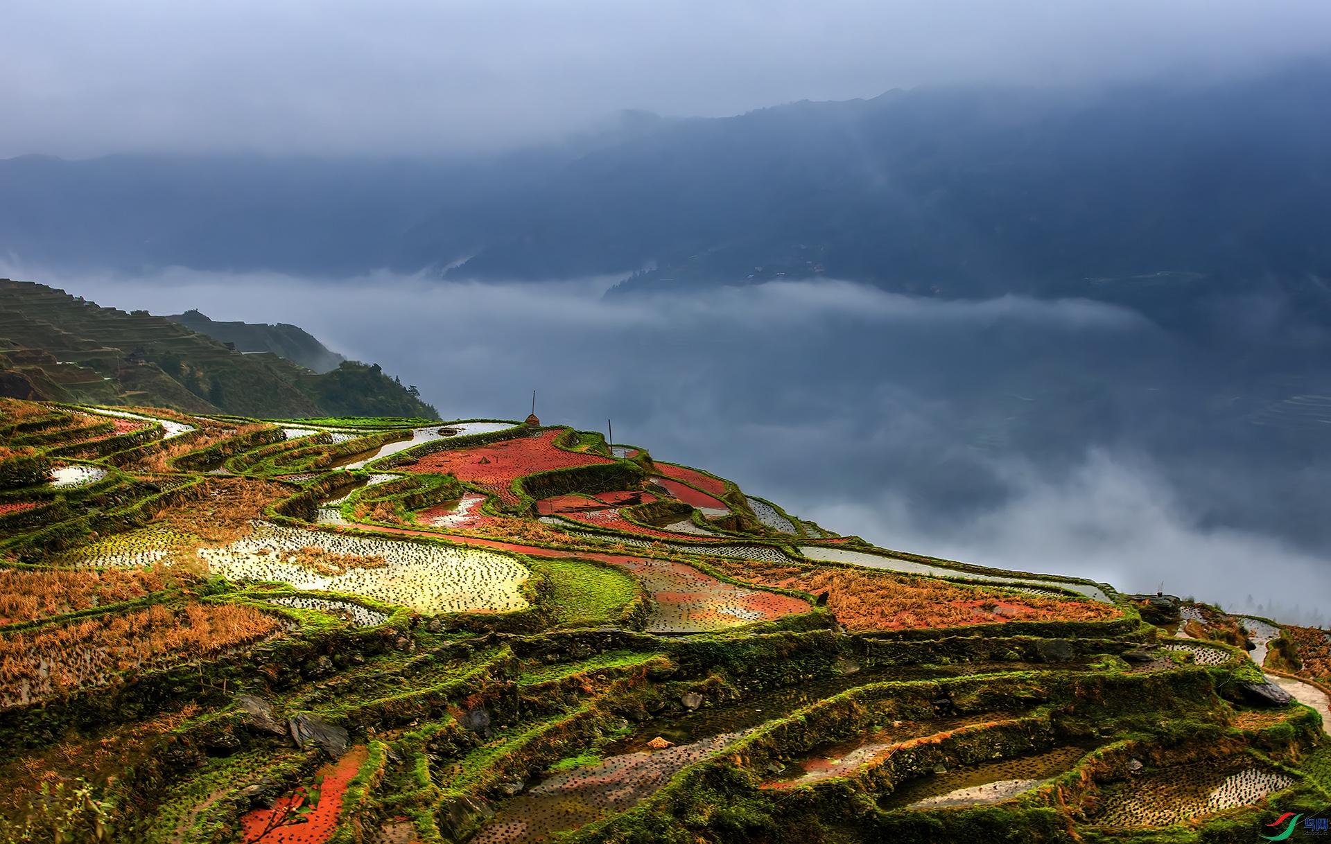 DSC_2396 - ���ļӰ�����AAA.jpg