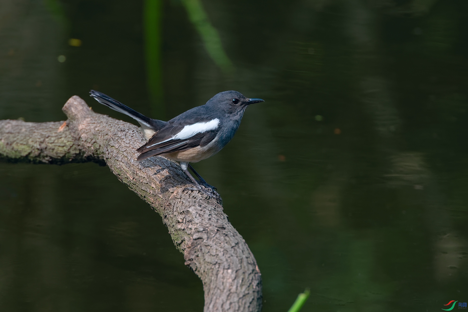 3DSC_8607_DxOa.jpg