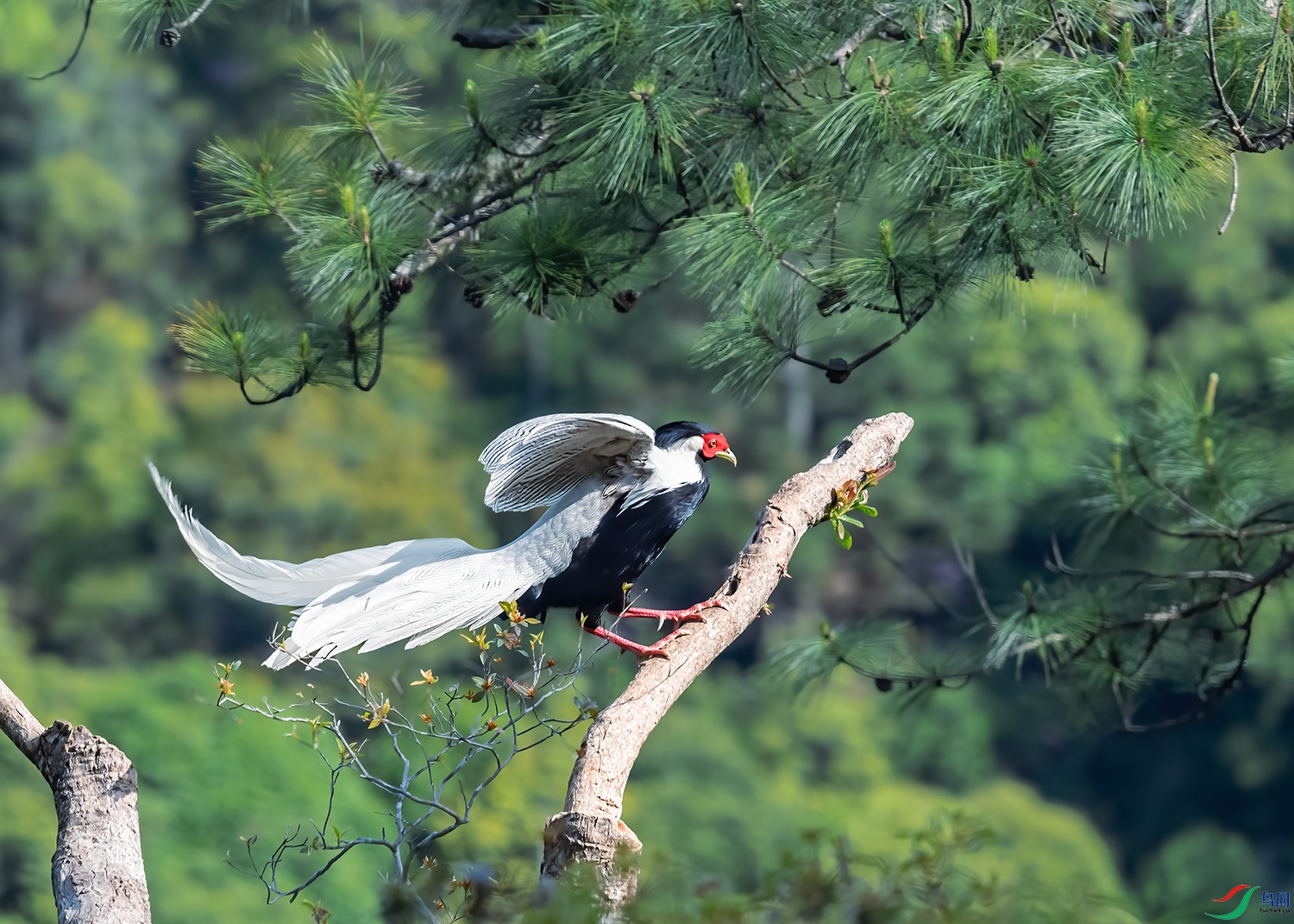 DSC_6367-2.jpg