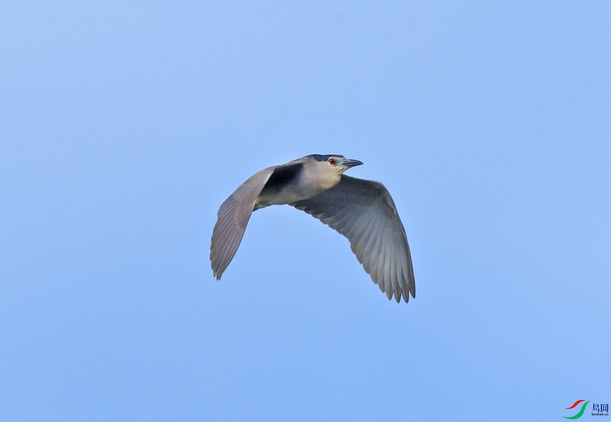 DSC_0231.jpg