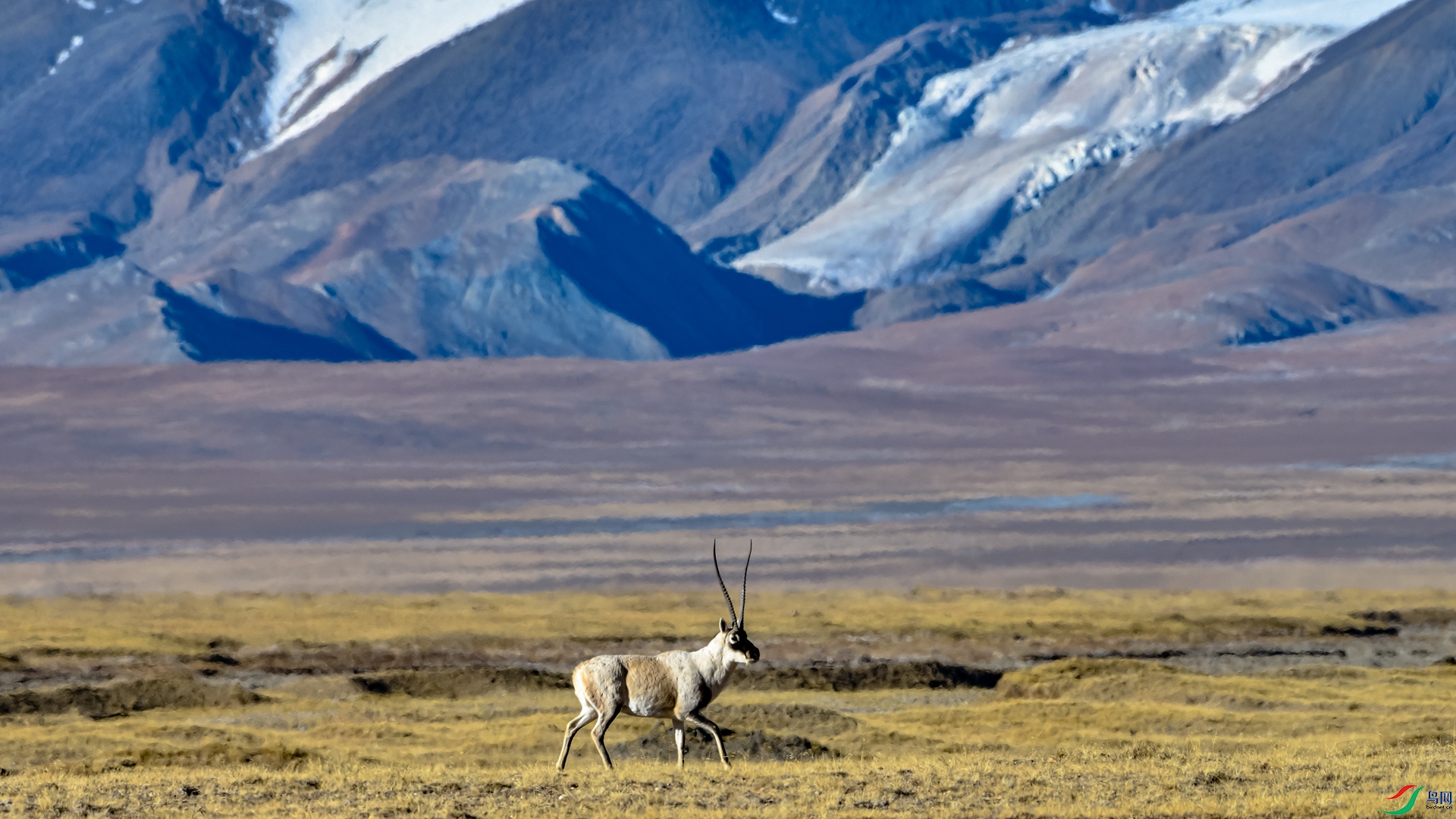 _DSC2628_����.jpg
