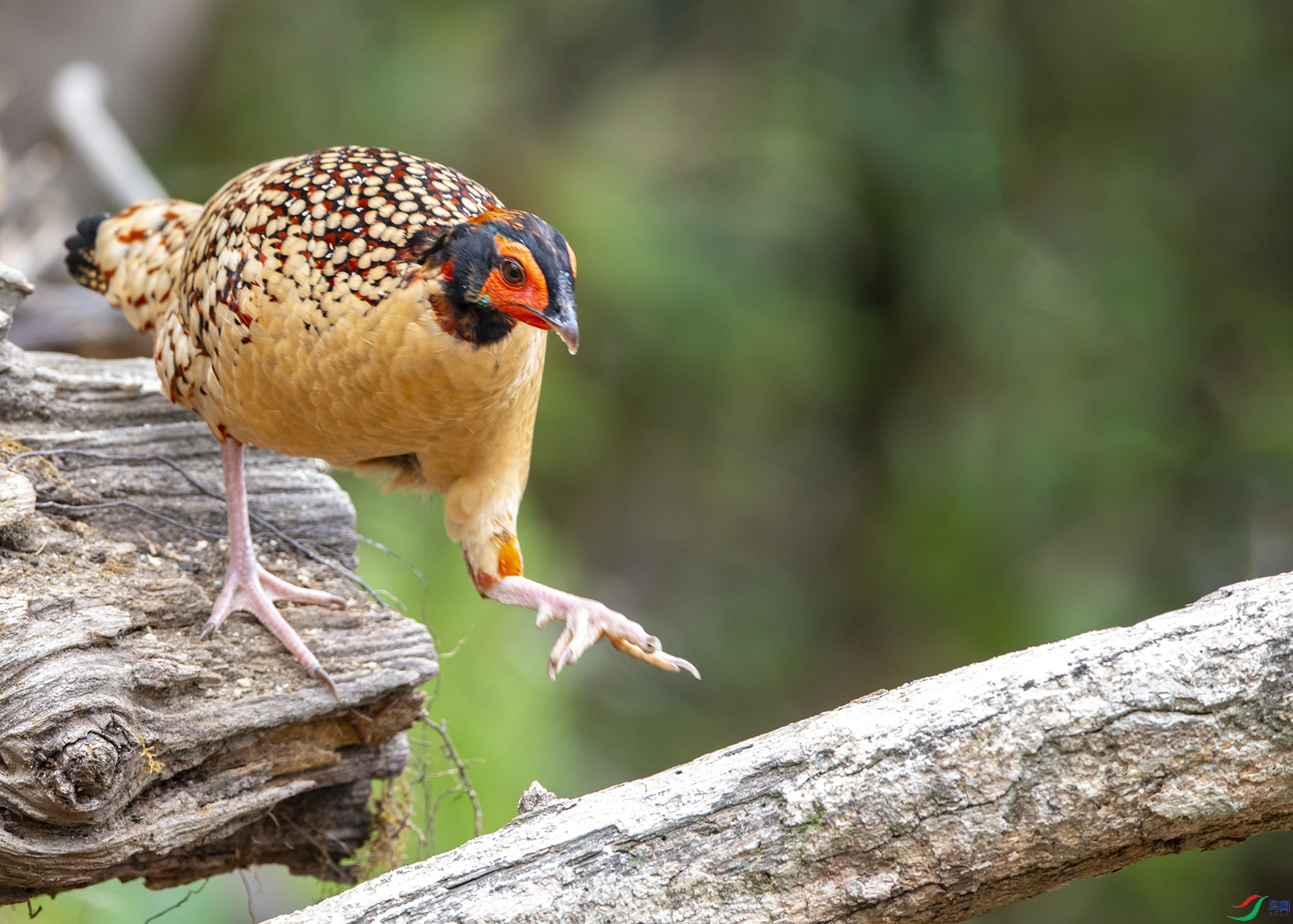 4835 ����.jpg