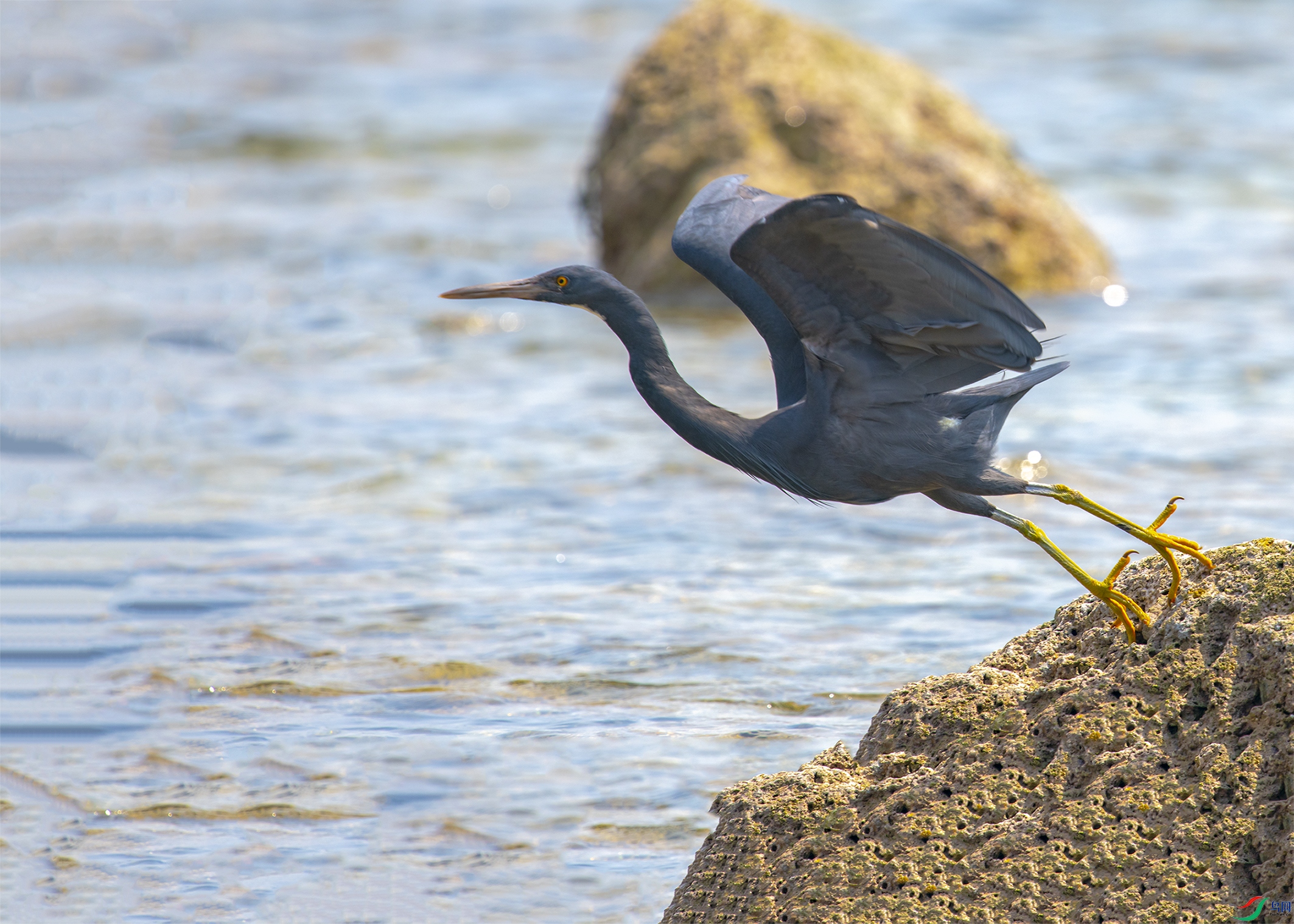 1839 ����.jpg