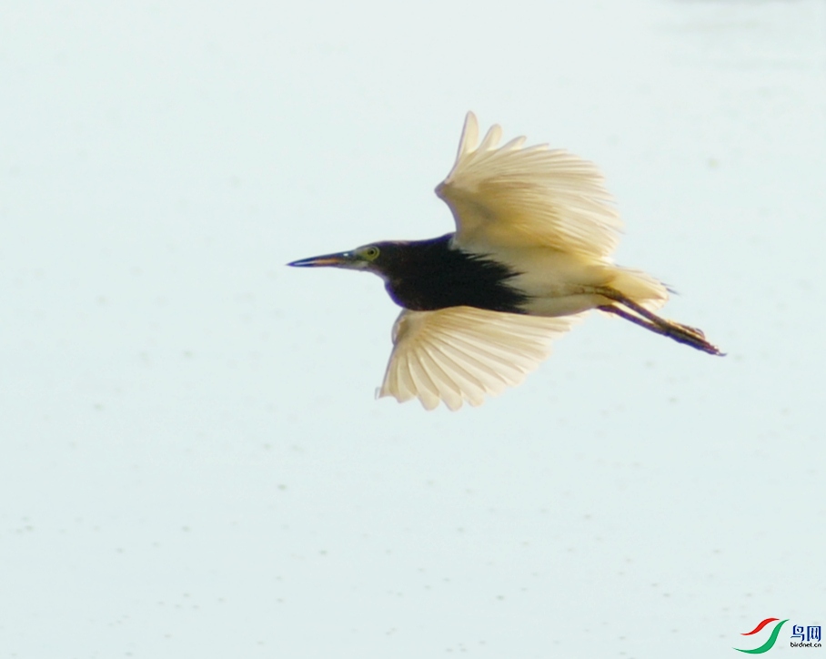 DSC_5834_.jpg