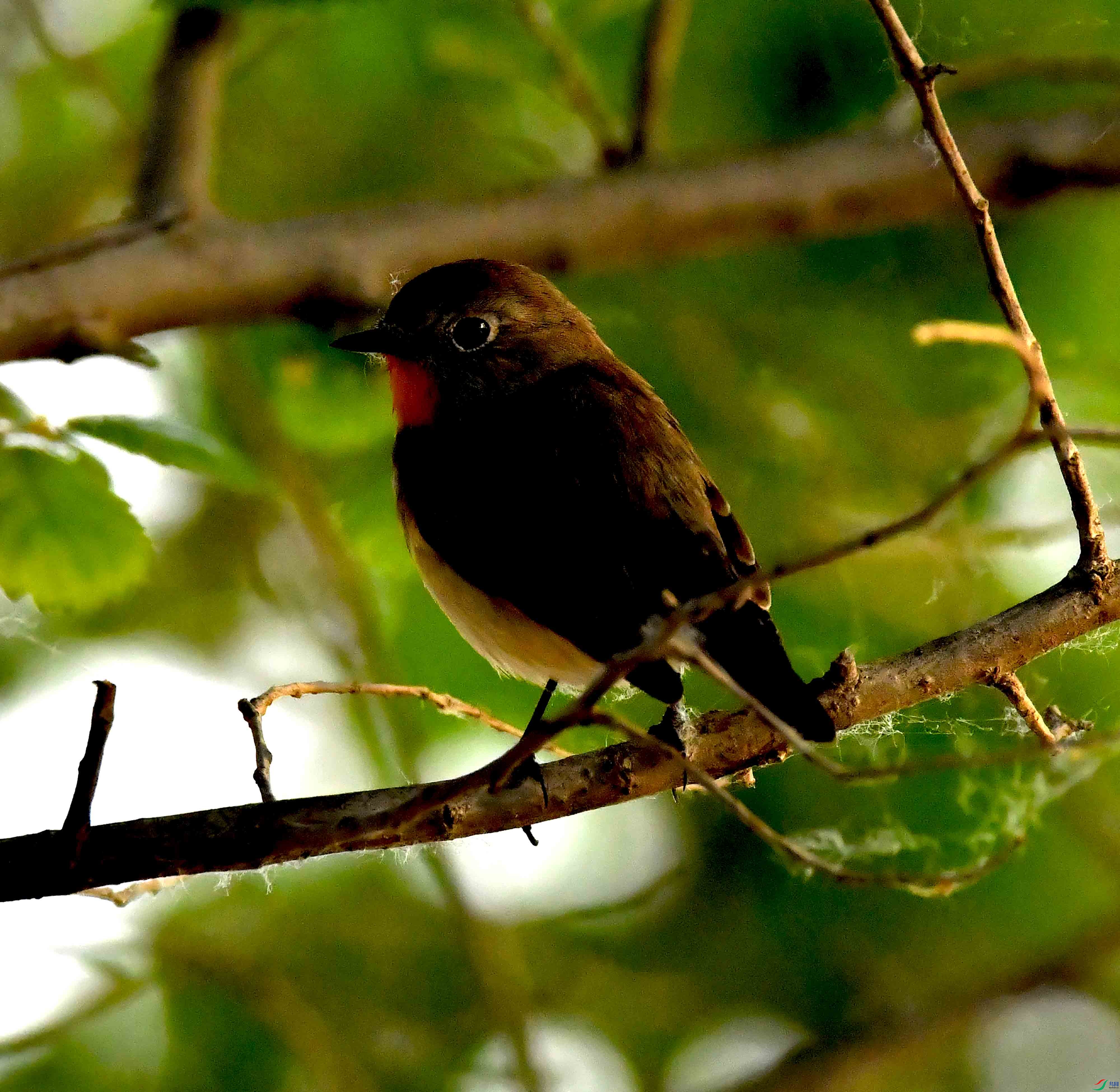 DSC_1495.JPG