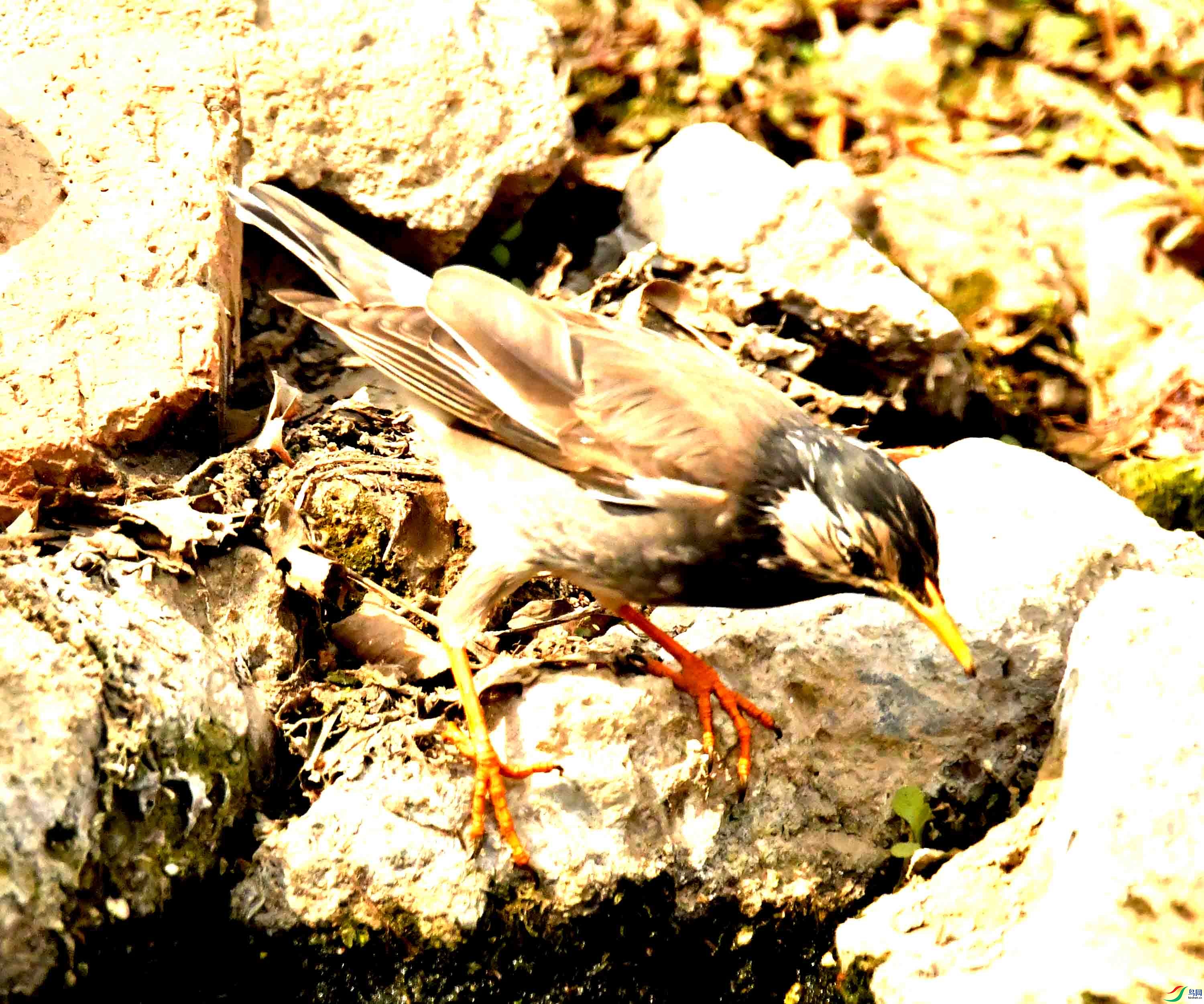 DSC_2304.JPG