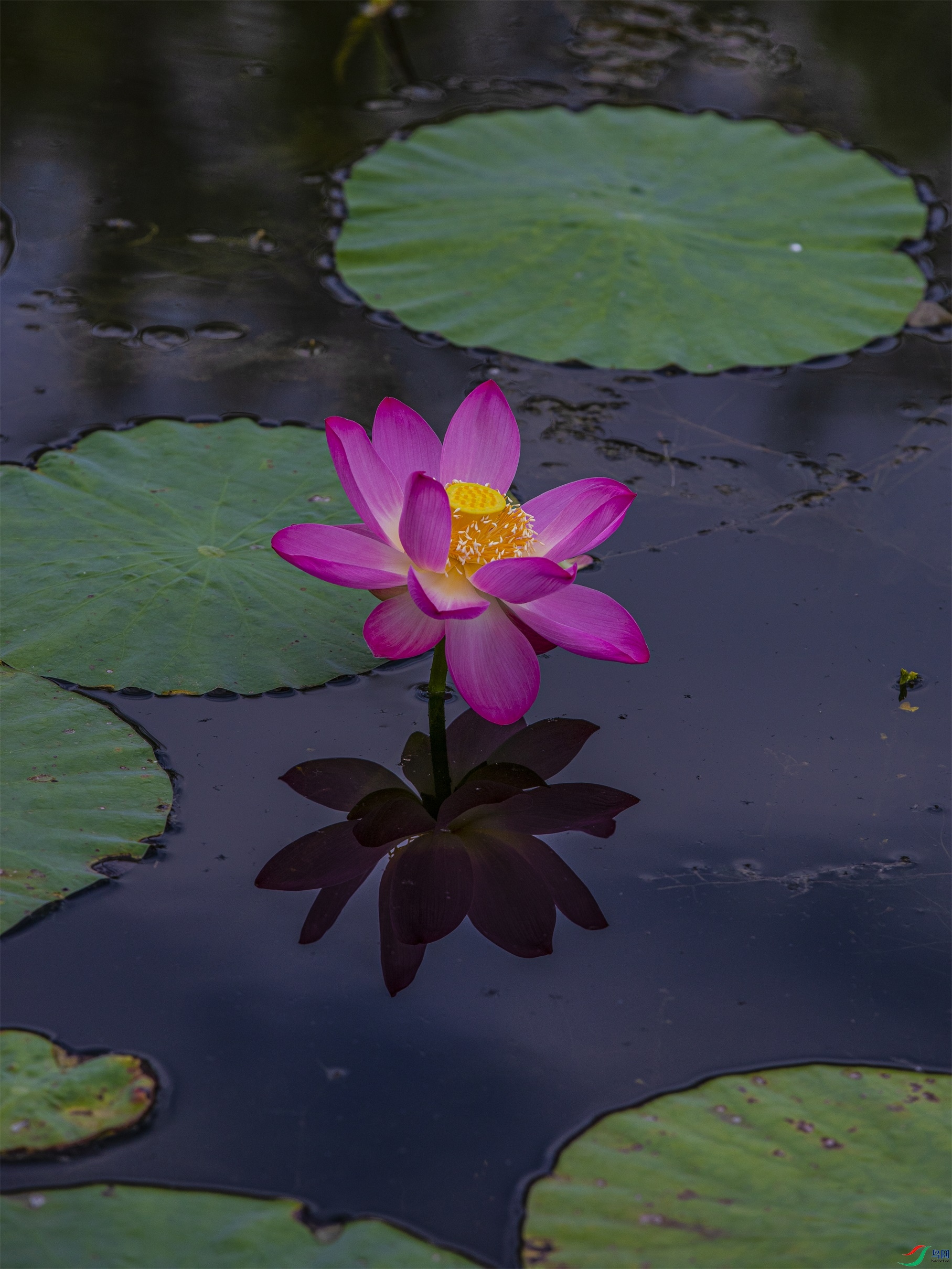 CY4A8736 ����1.jpg