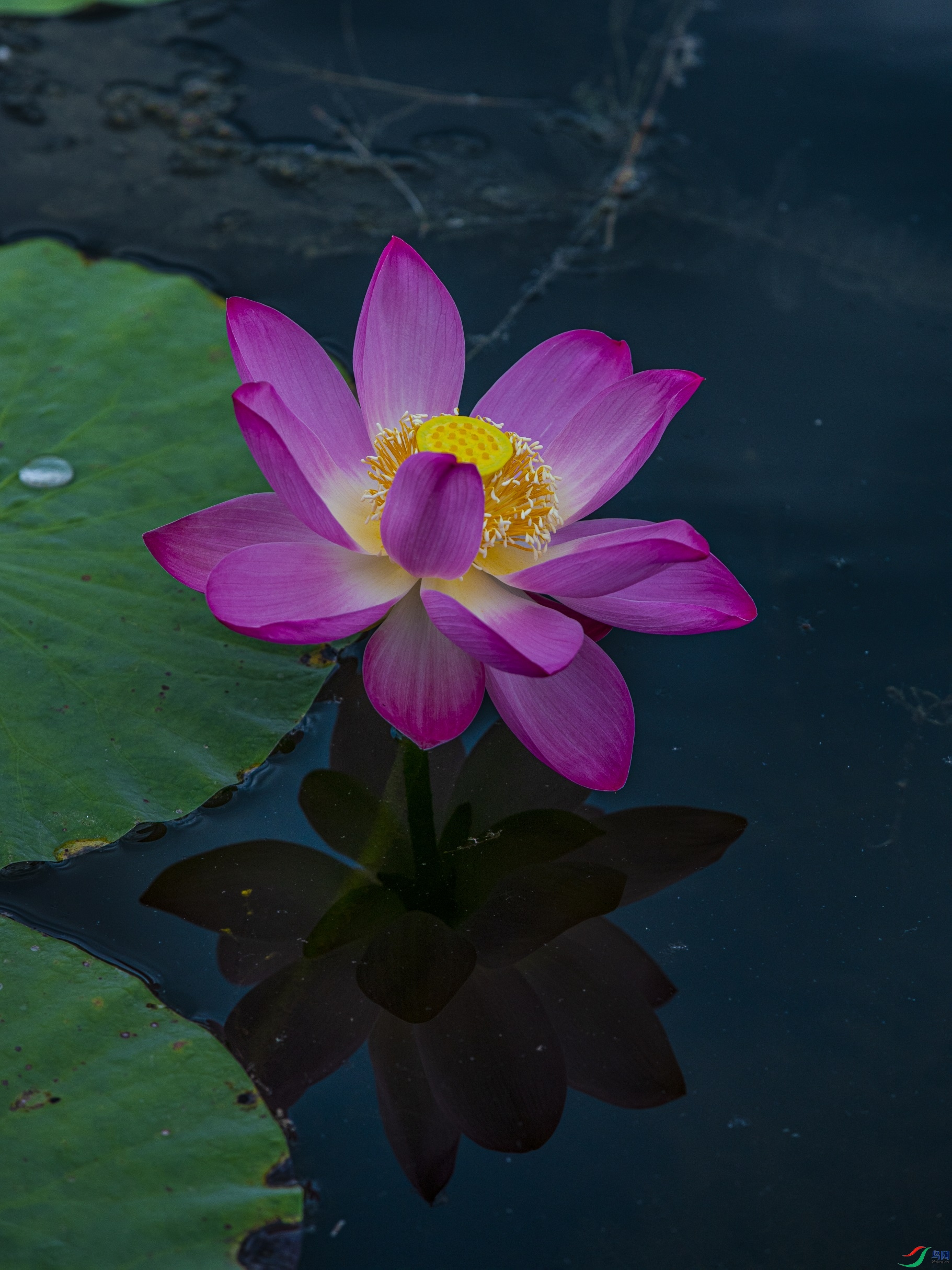 CY4A8735 ����1.jpg