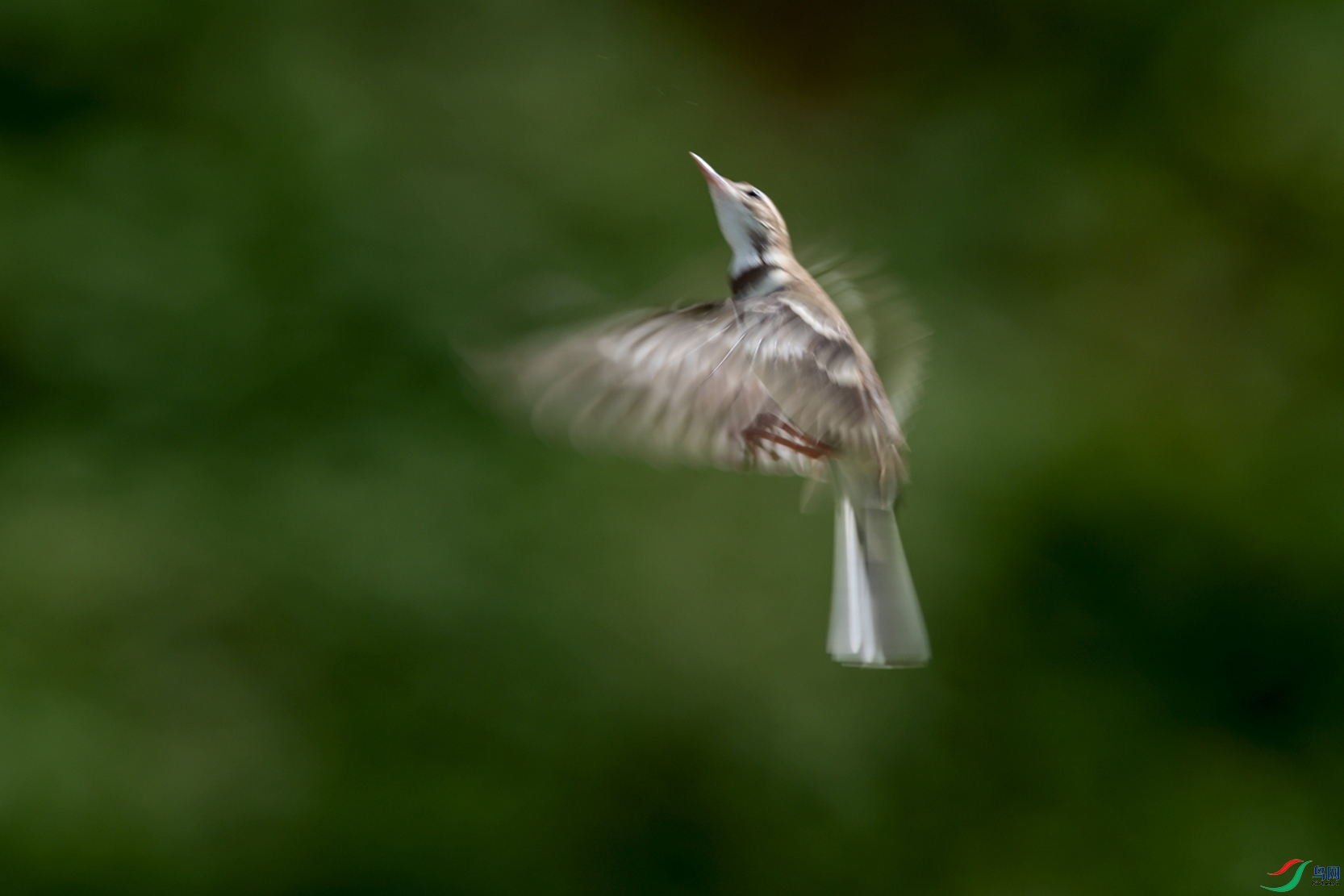 3DSC_6699_DxOa.jpg