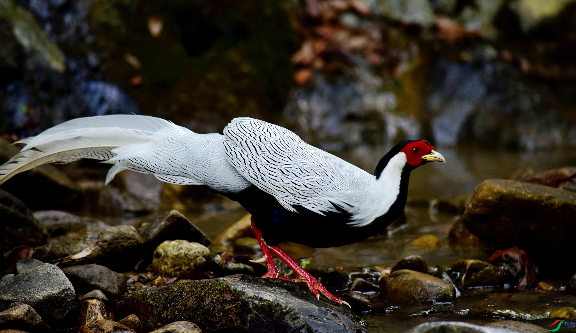 D8I_3670.jpg