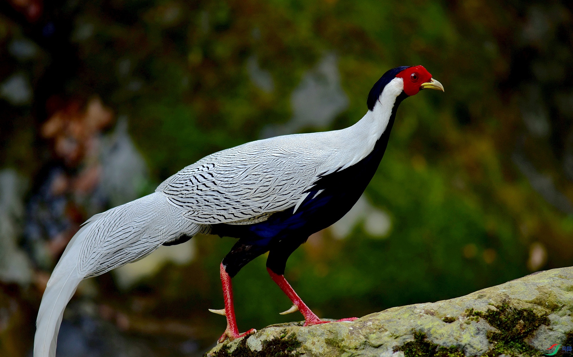 D8I_3657.jpg