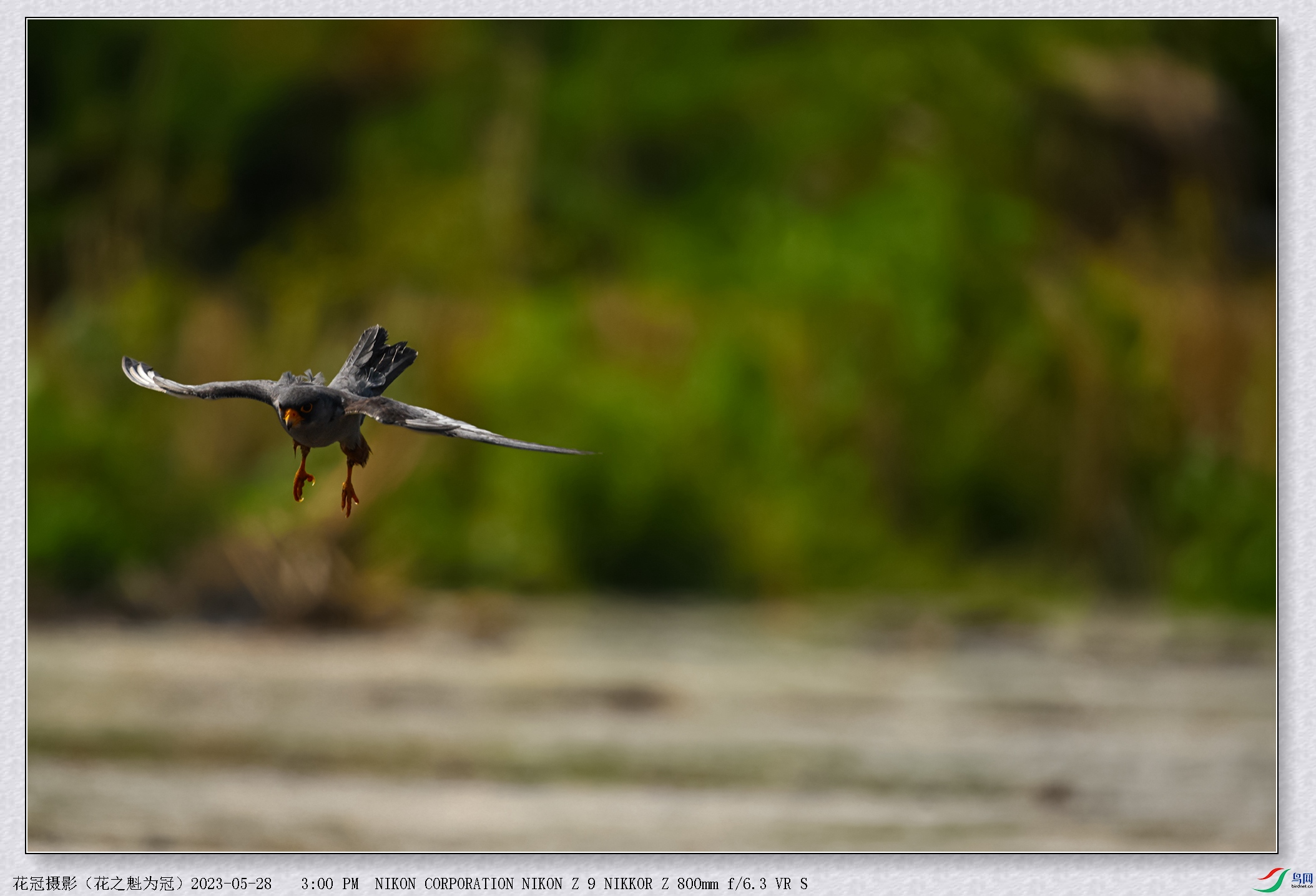 DSC_3756B-1_����.jpg
