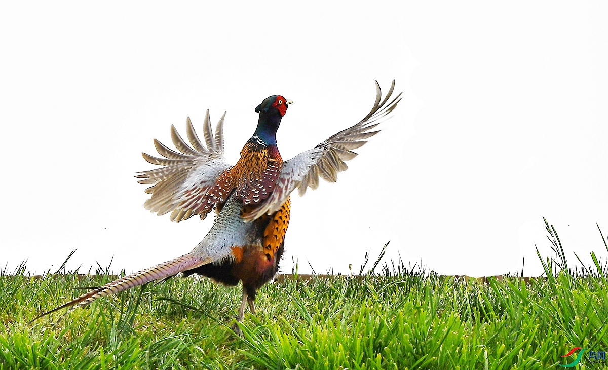 DSC_1112.JPG