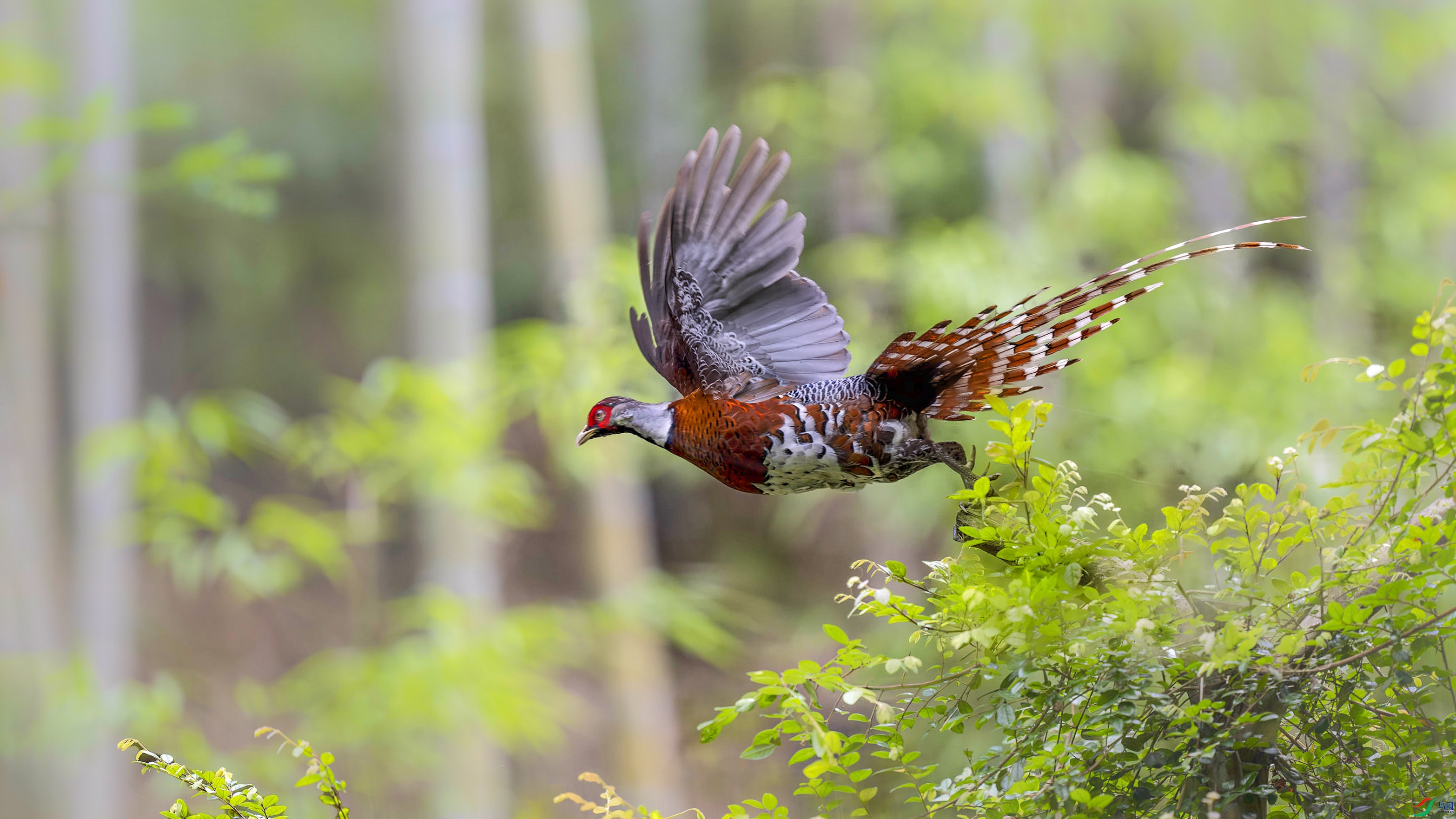 170512mtgi5tf3kkpnkp05 ��������.jpg