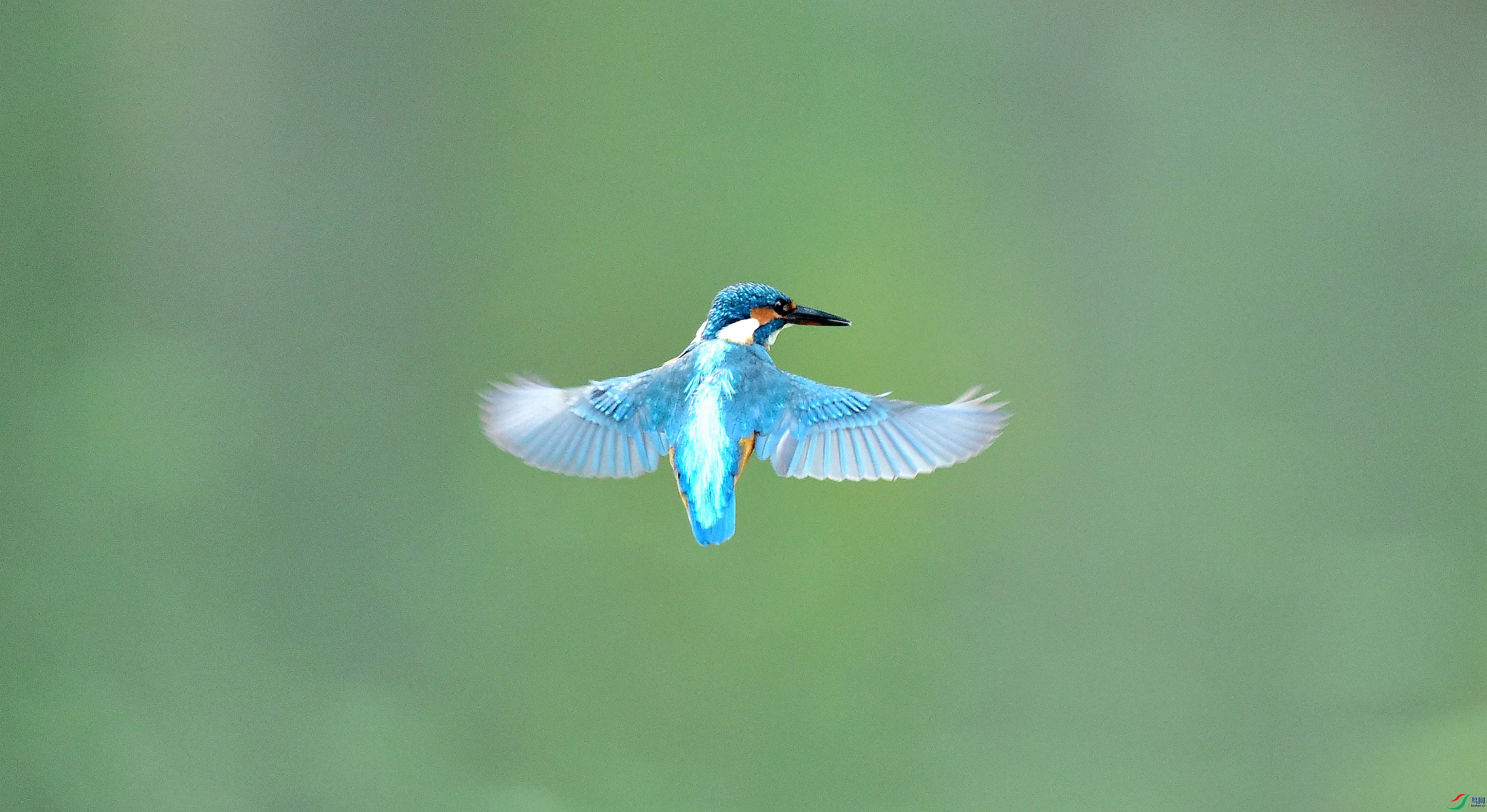 DSC_5728.jpg