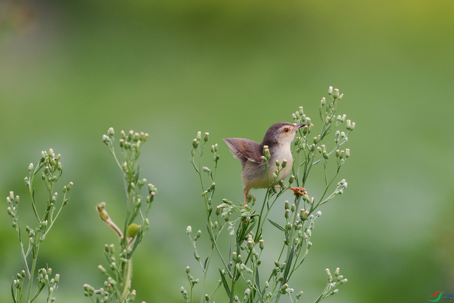 1M6A3168 ����_����.jpg