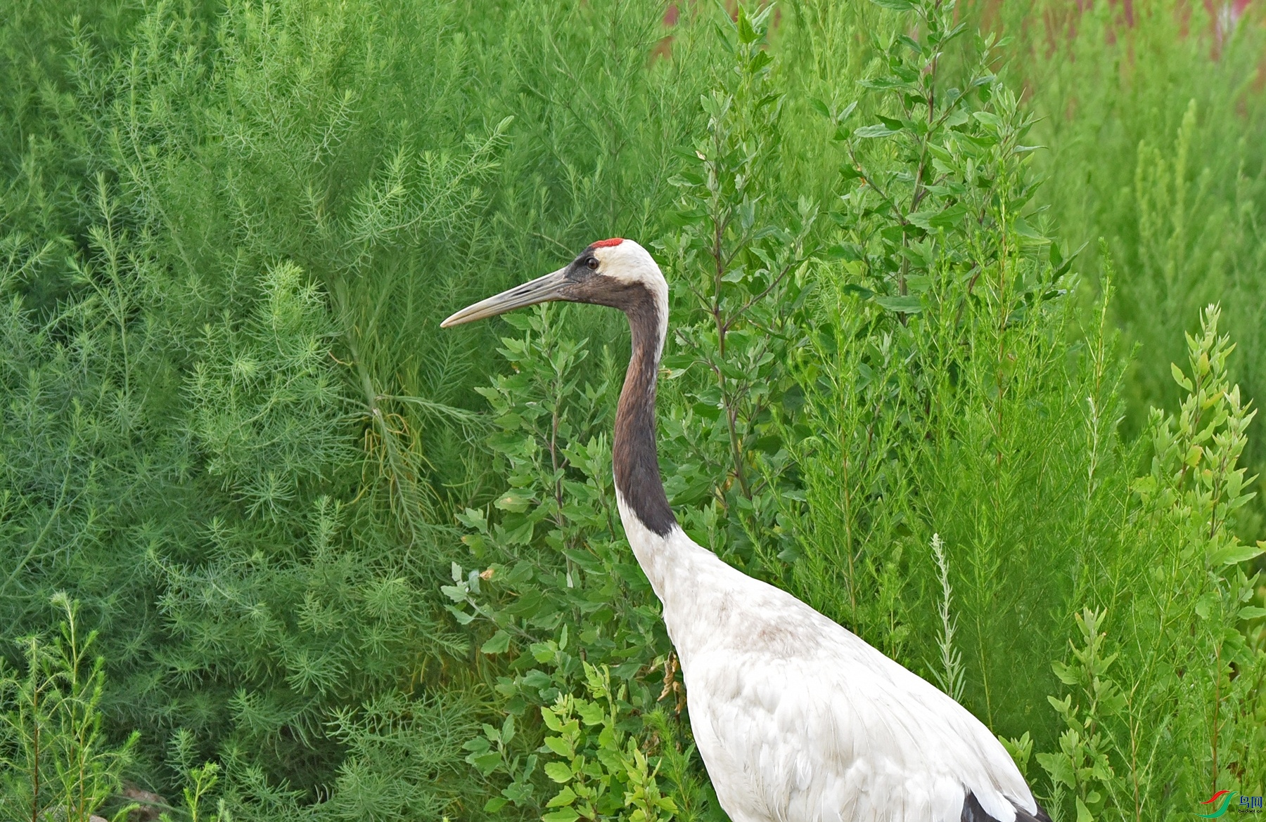 DSC_8168.jpg