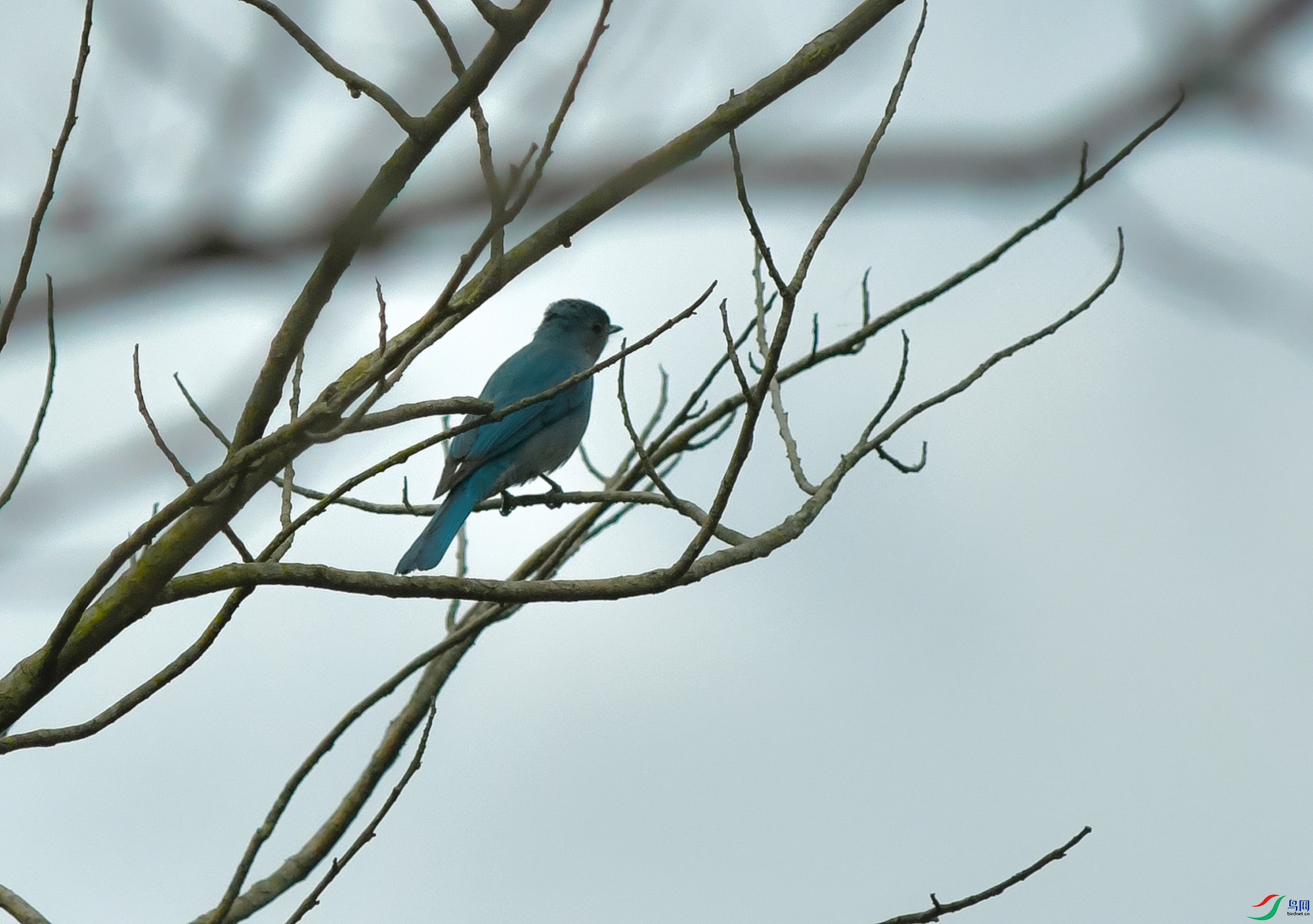 DSC_6819.JPG