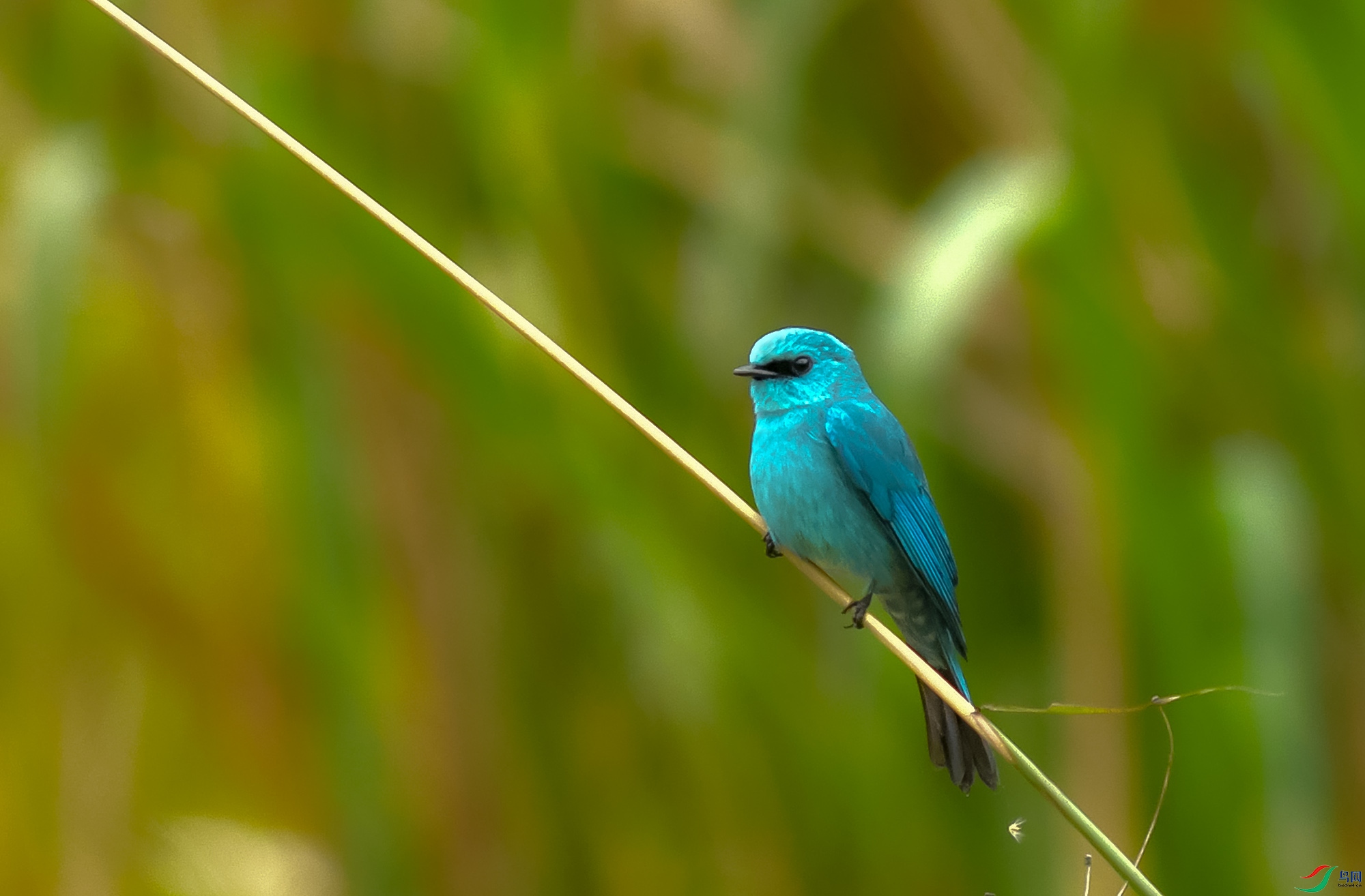 DSC_7448.JPG