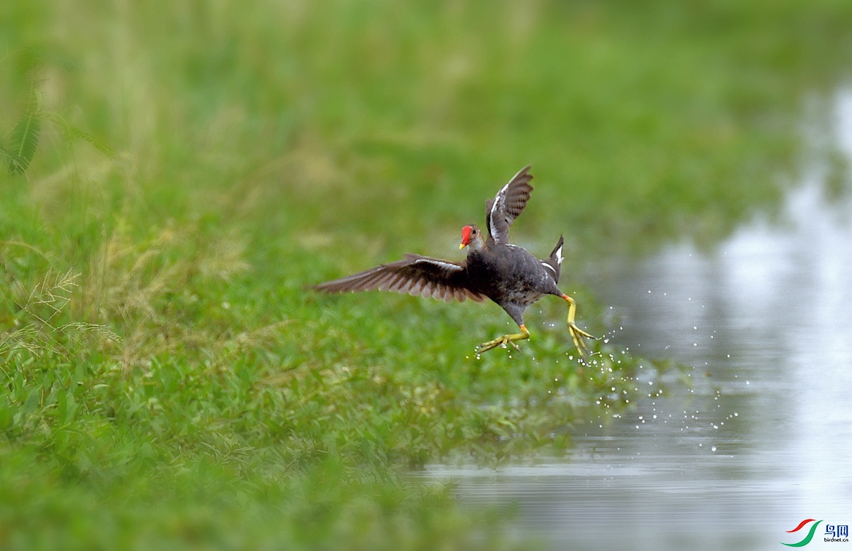 DSC_7194.jpg