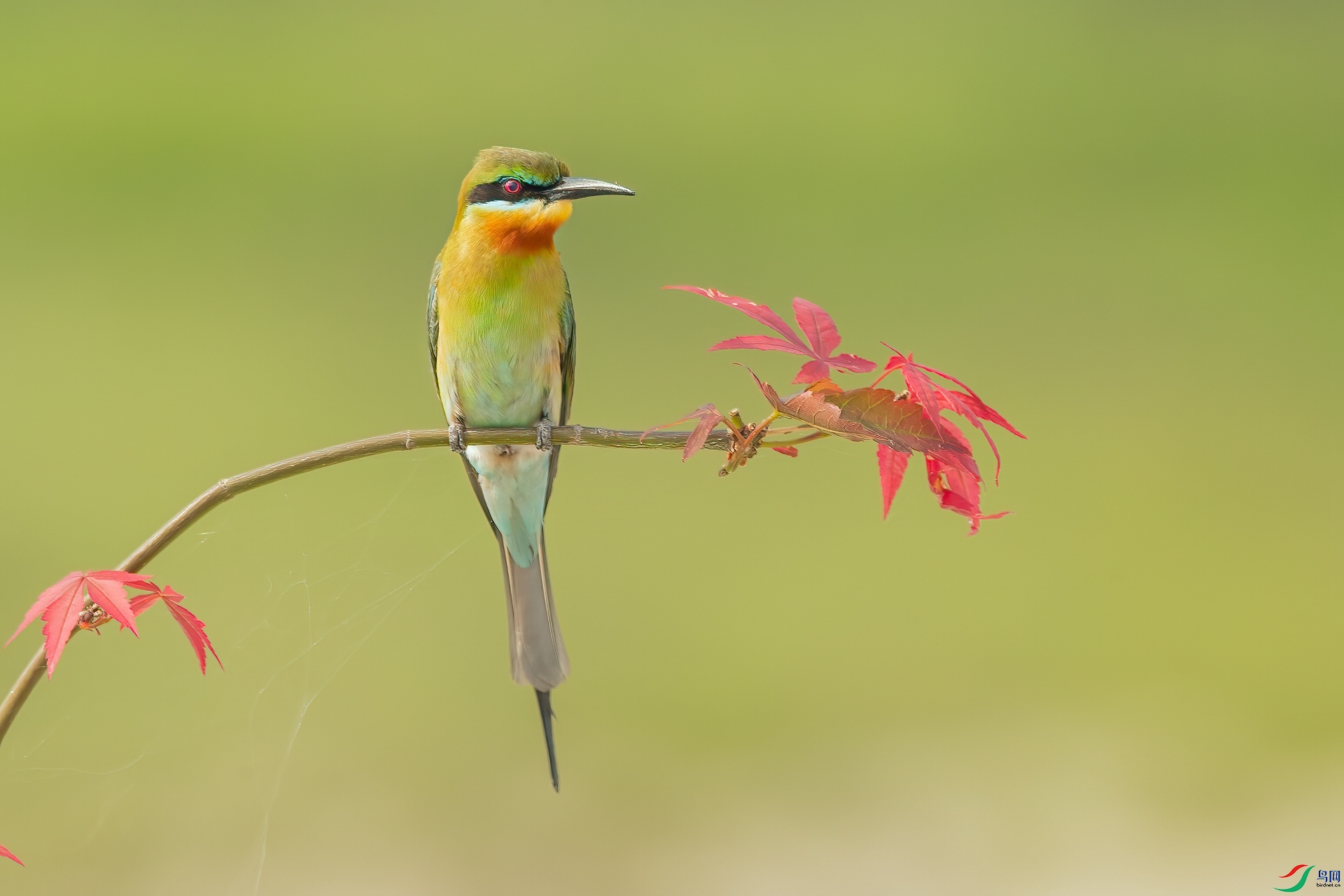 B86I7016 _����.jpg